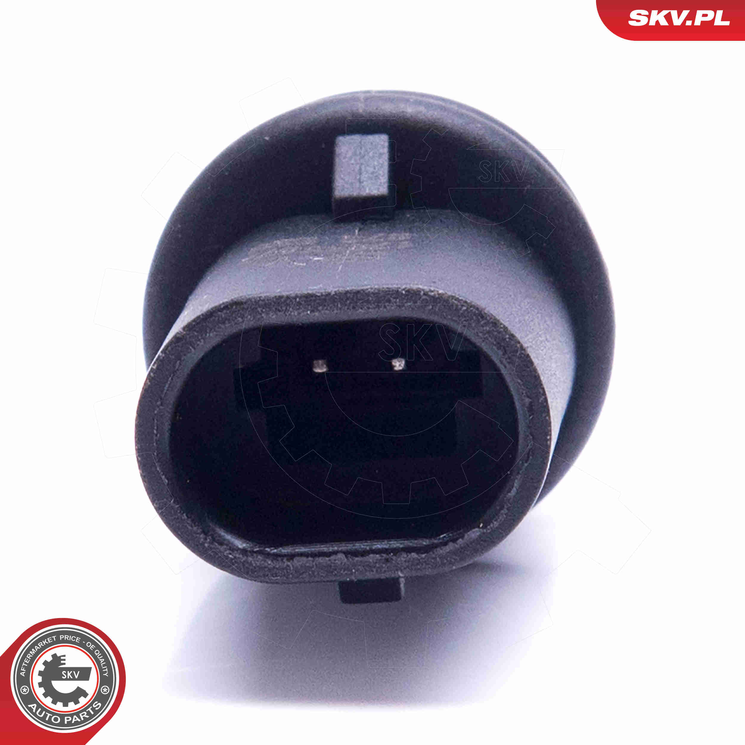 Sensor, intake air temperature - 17SKV677 ESEN SKV