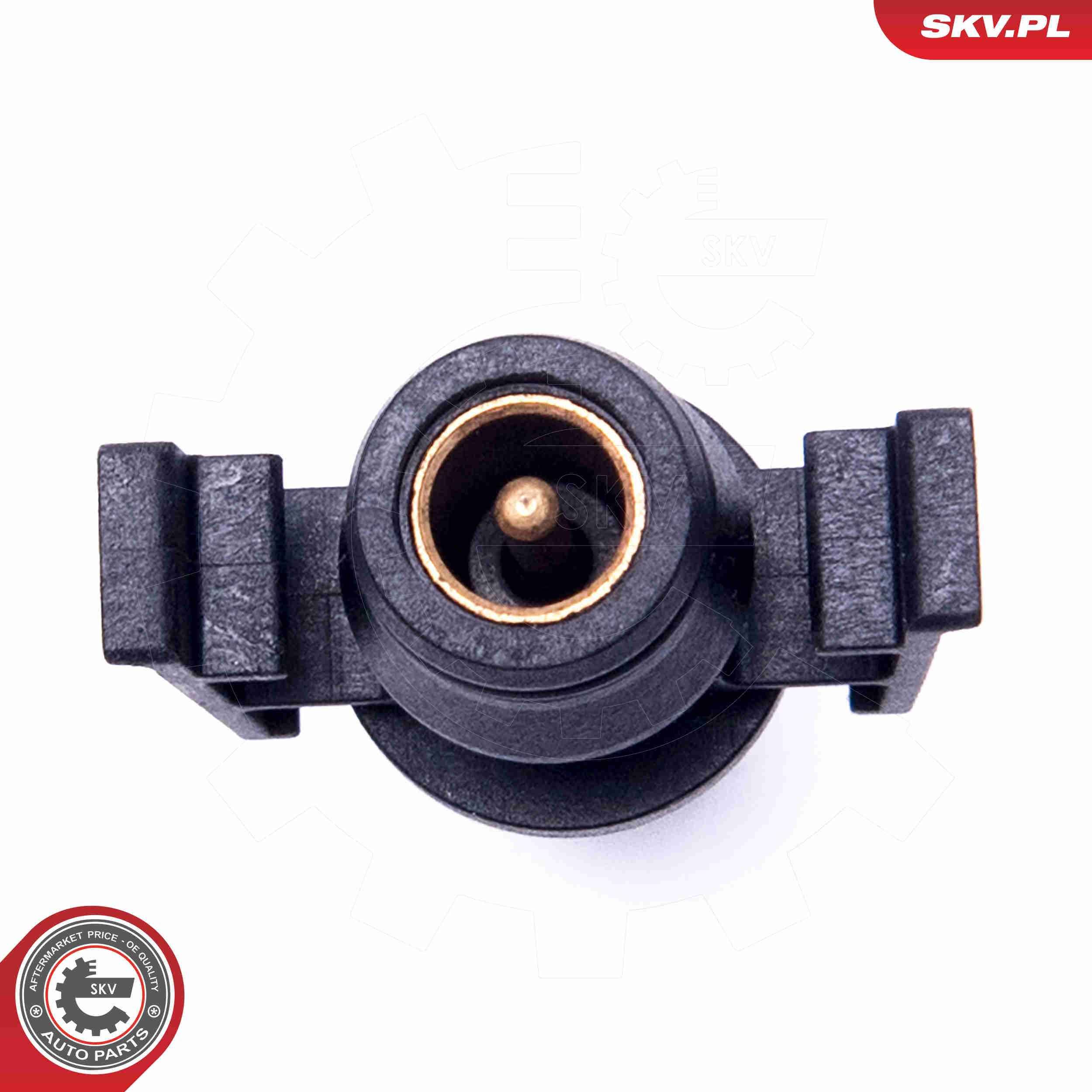 Sensor, intake air temperature - 17SKV692 ESEN SKV