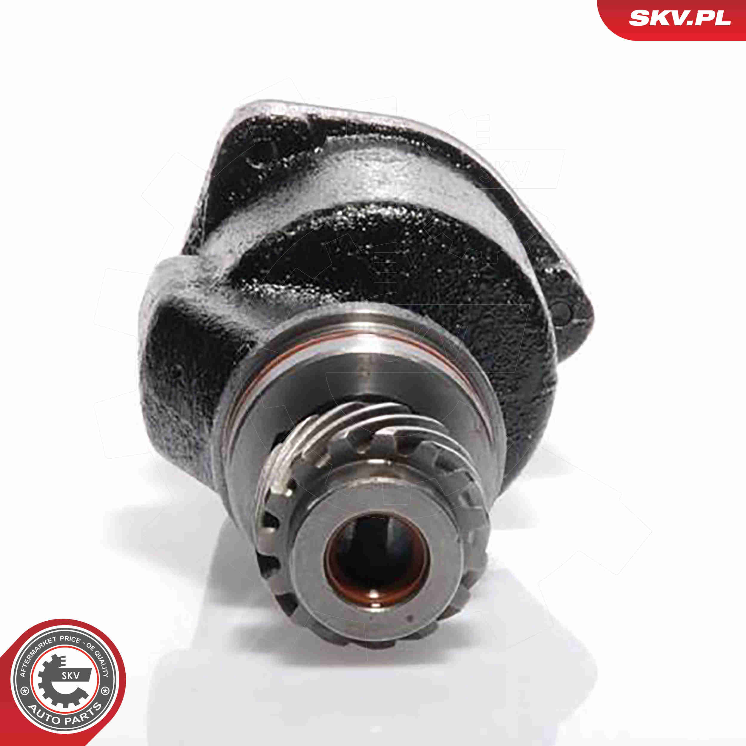 Vacuum Pump, braking system - 18SKV001 ESEN SKV