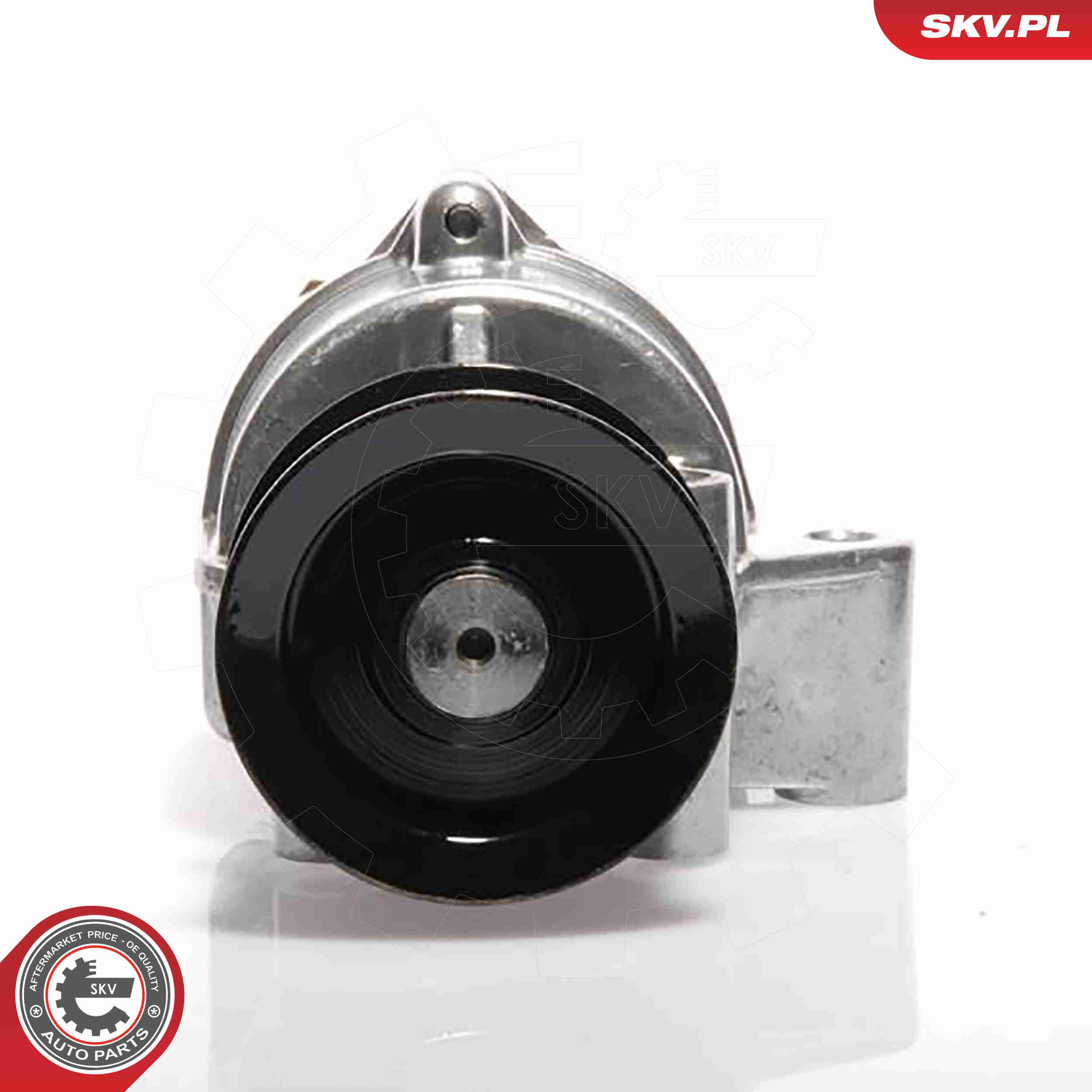 Vacuum Pump, braking system - 18SKV002 ESEN SKV