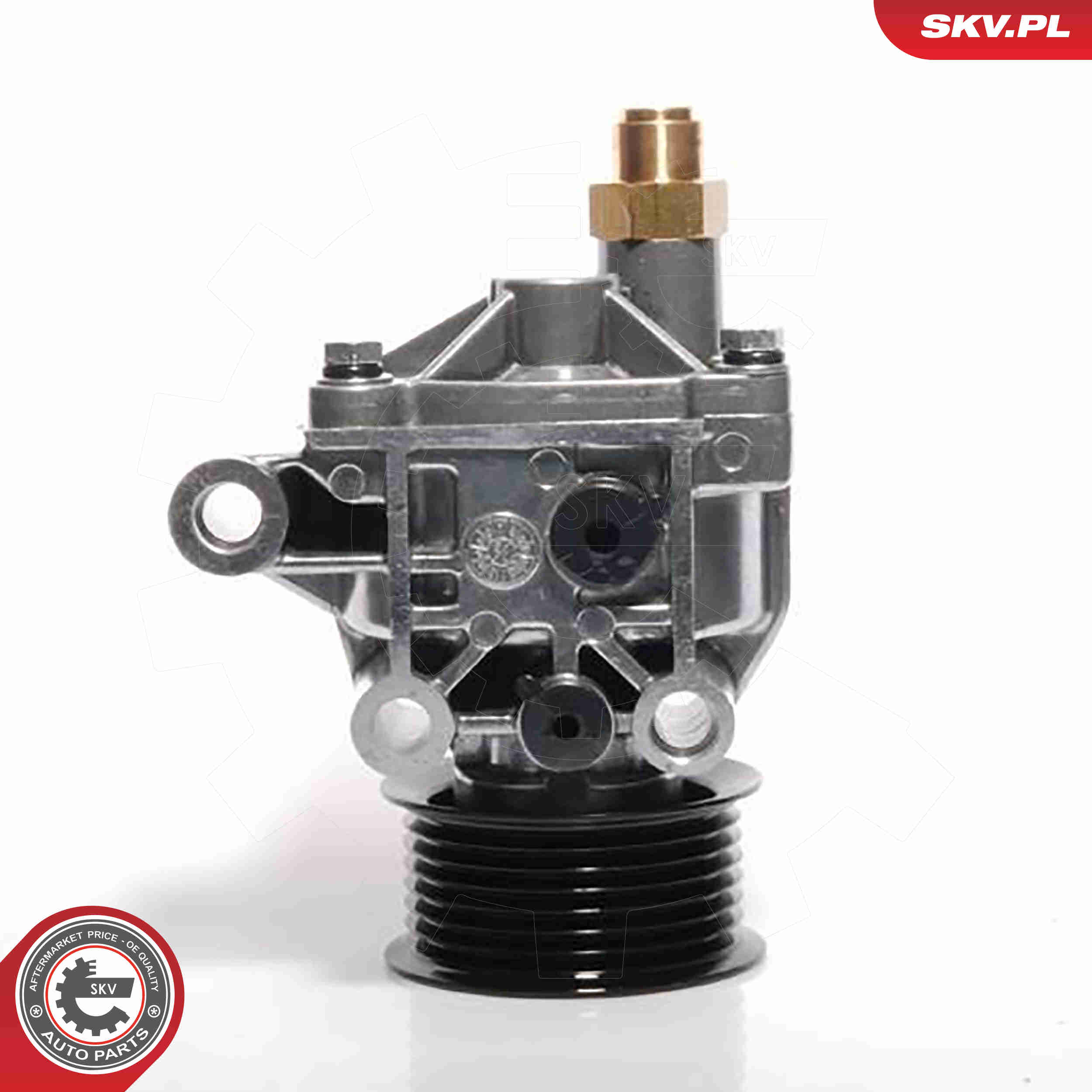 Vacuum Pump, braking system - 18SKV002 ESEN SKV