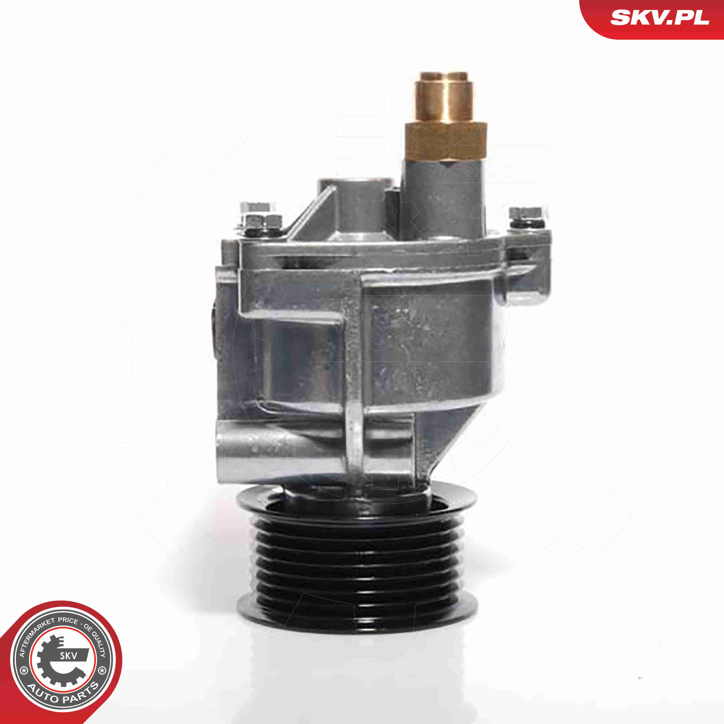 Vacuum Pump, braking system - 18SKV002 ESEN SKV