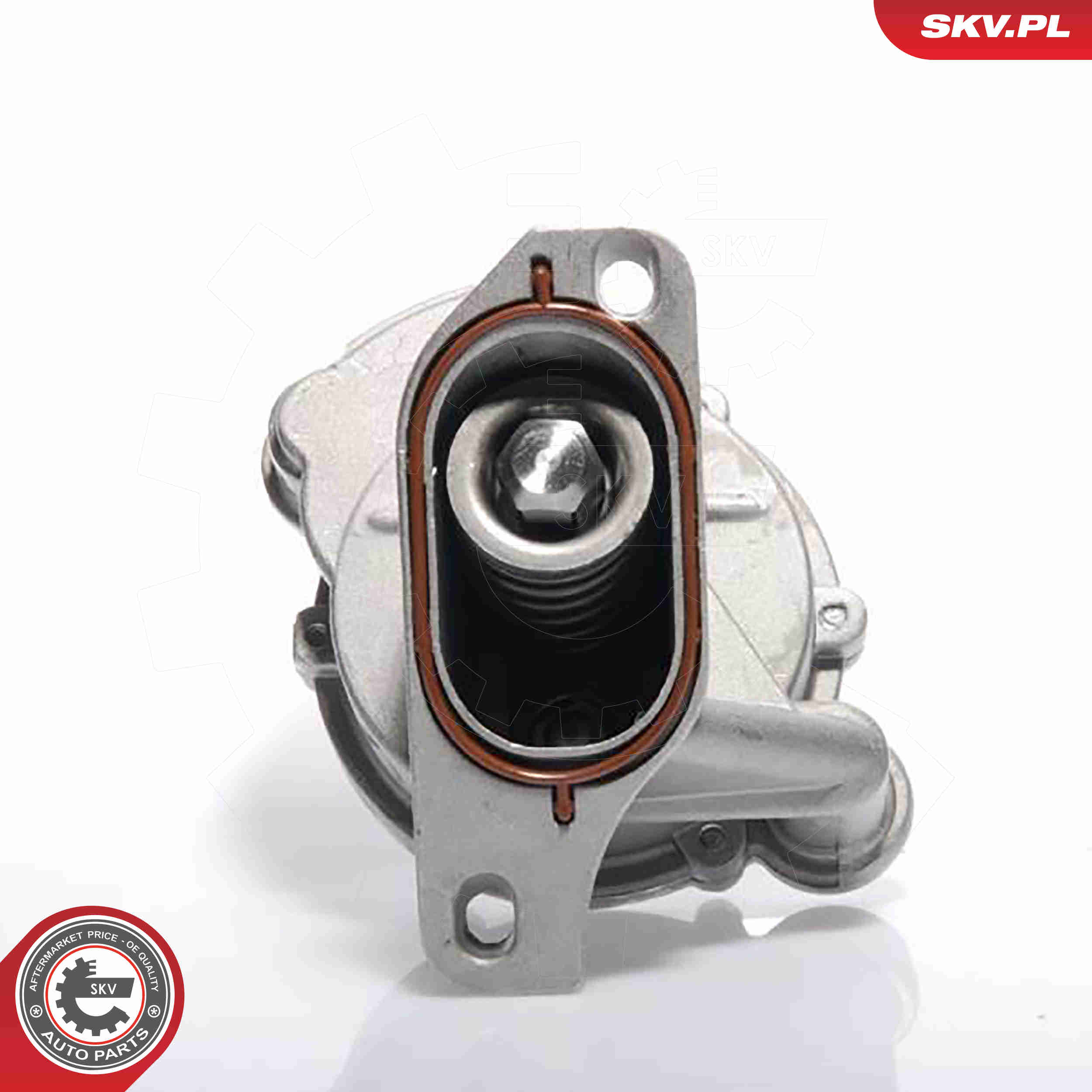 Vacuum Pump, braking system - 18SKV009 ESEN SKV