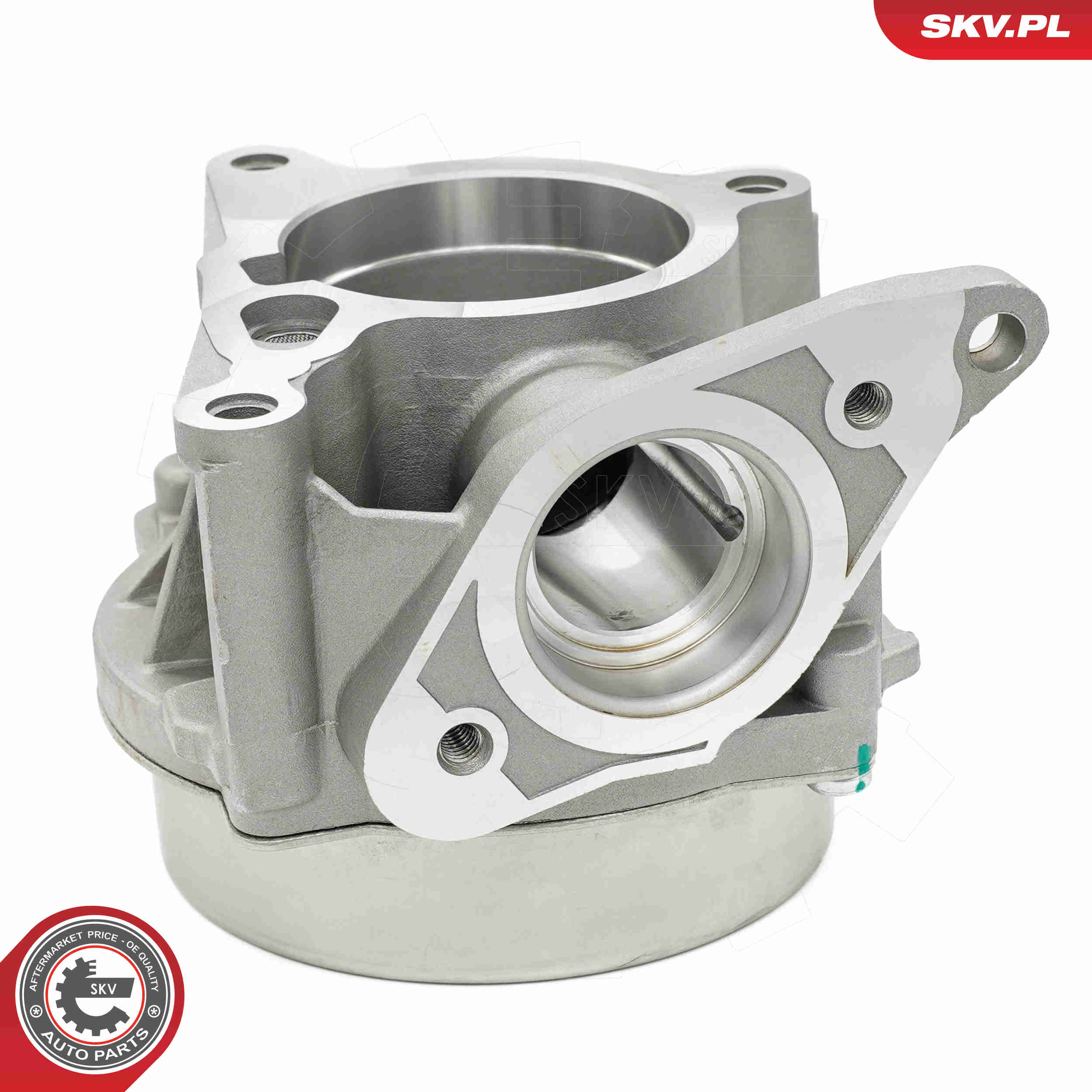 Vacuum Pump, braking system - 18SKV068 ESEN SKV