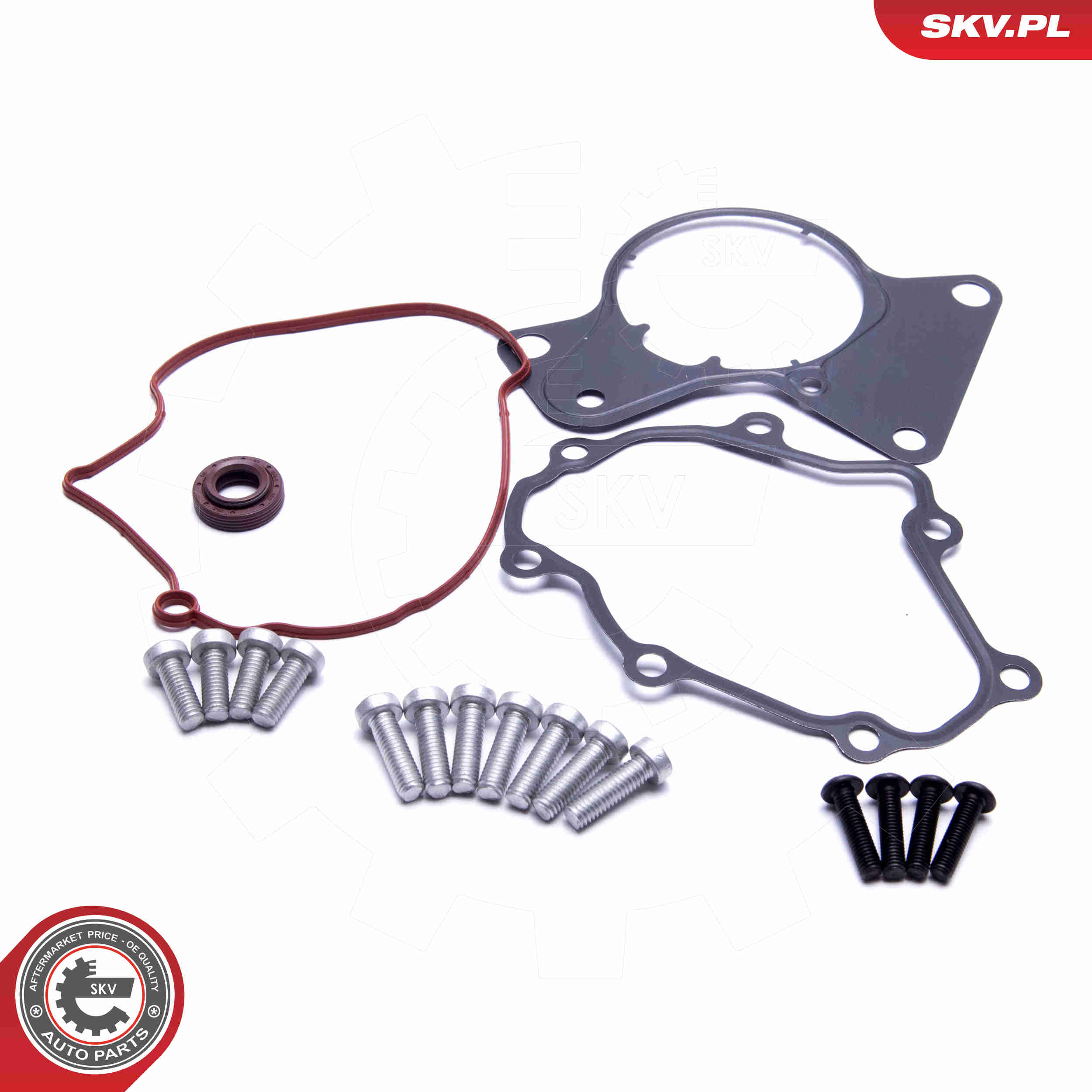 Repair Set, vacuum pump (braking system) - 18SKV802 ESEN SKV
