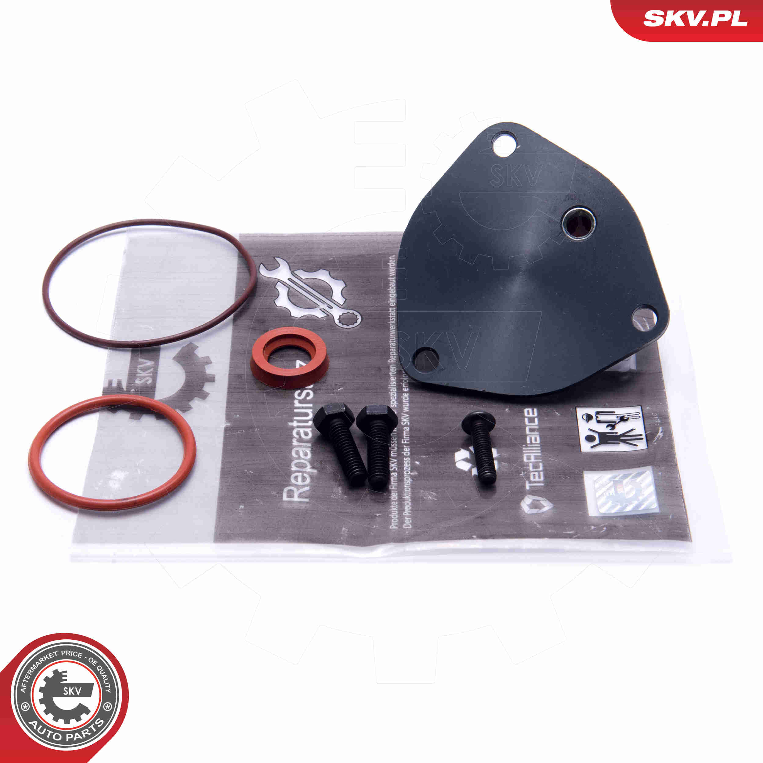 Repair Set, vacuum pump (braking system) - 18SKV806 ESEN SKV