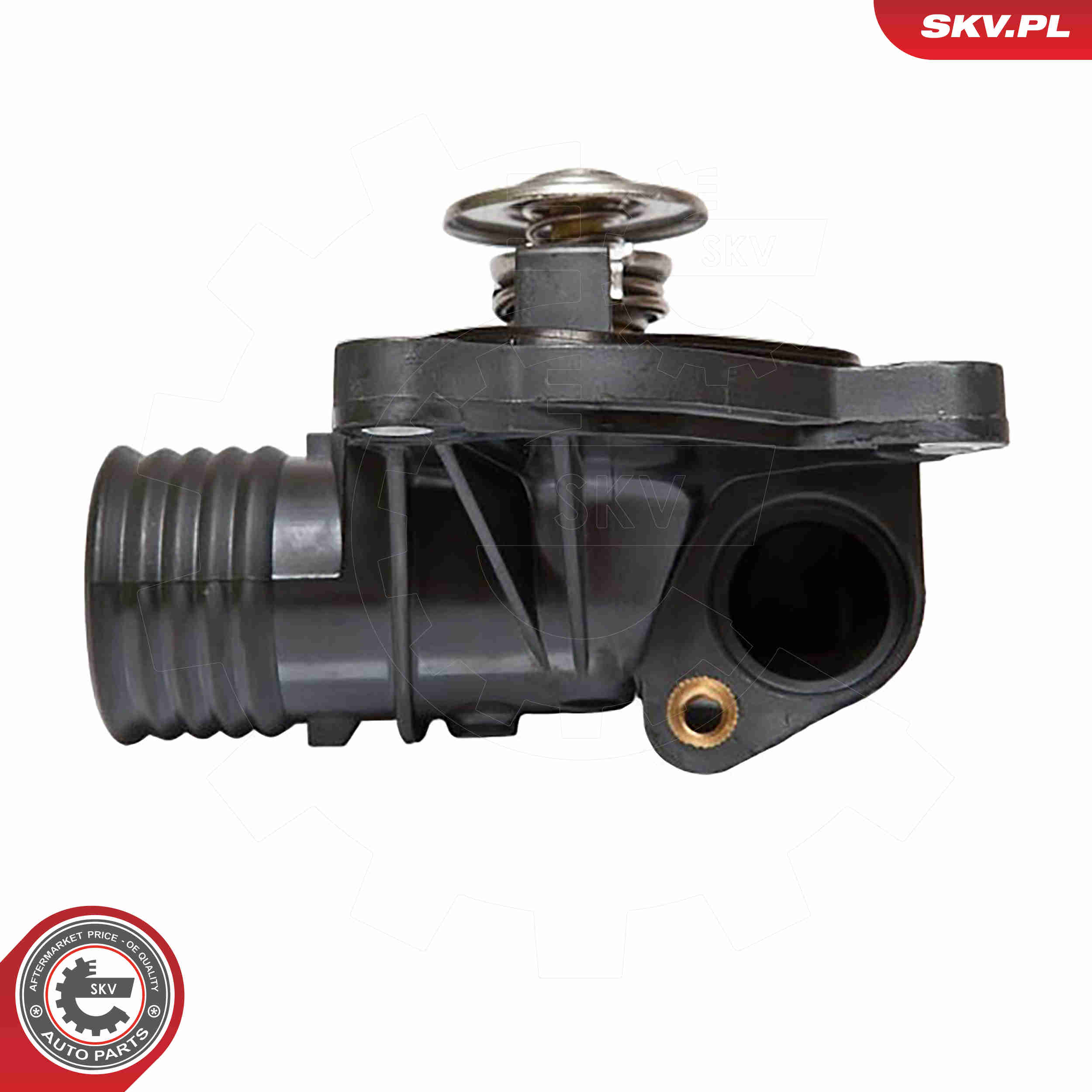 Thermostat, coolant - 20SKV001 ESEN SKV