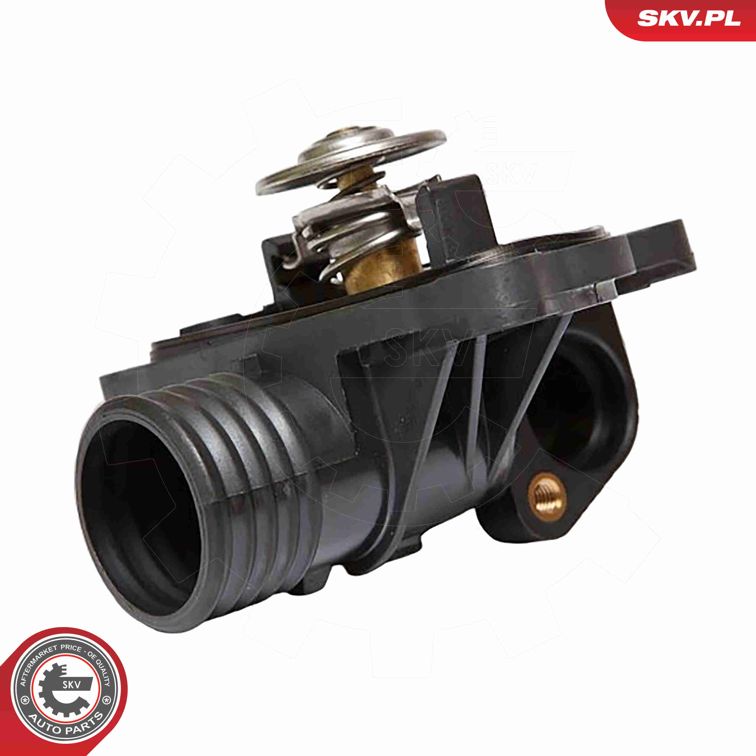 Thermostat, coolant - 20SKV001 ESEN SKV