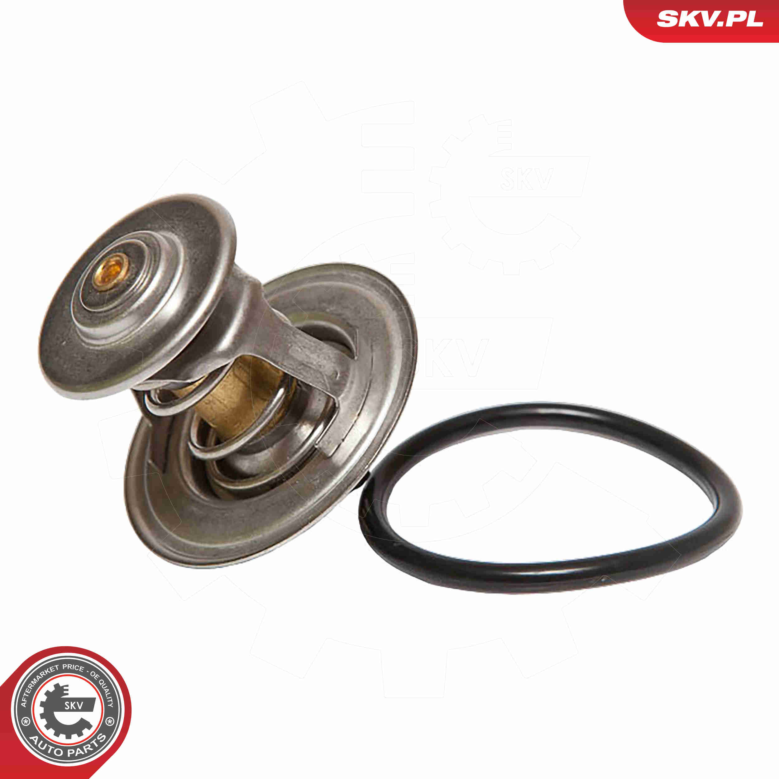 Thermostat, coolant - 20SKV003 ESEN SKV