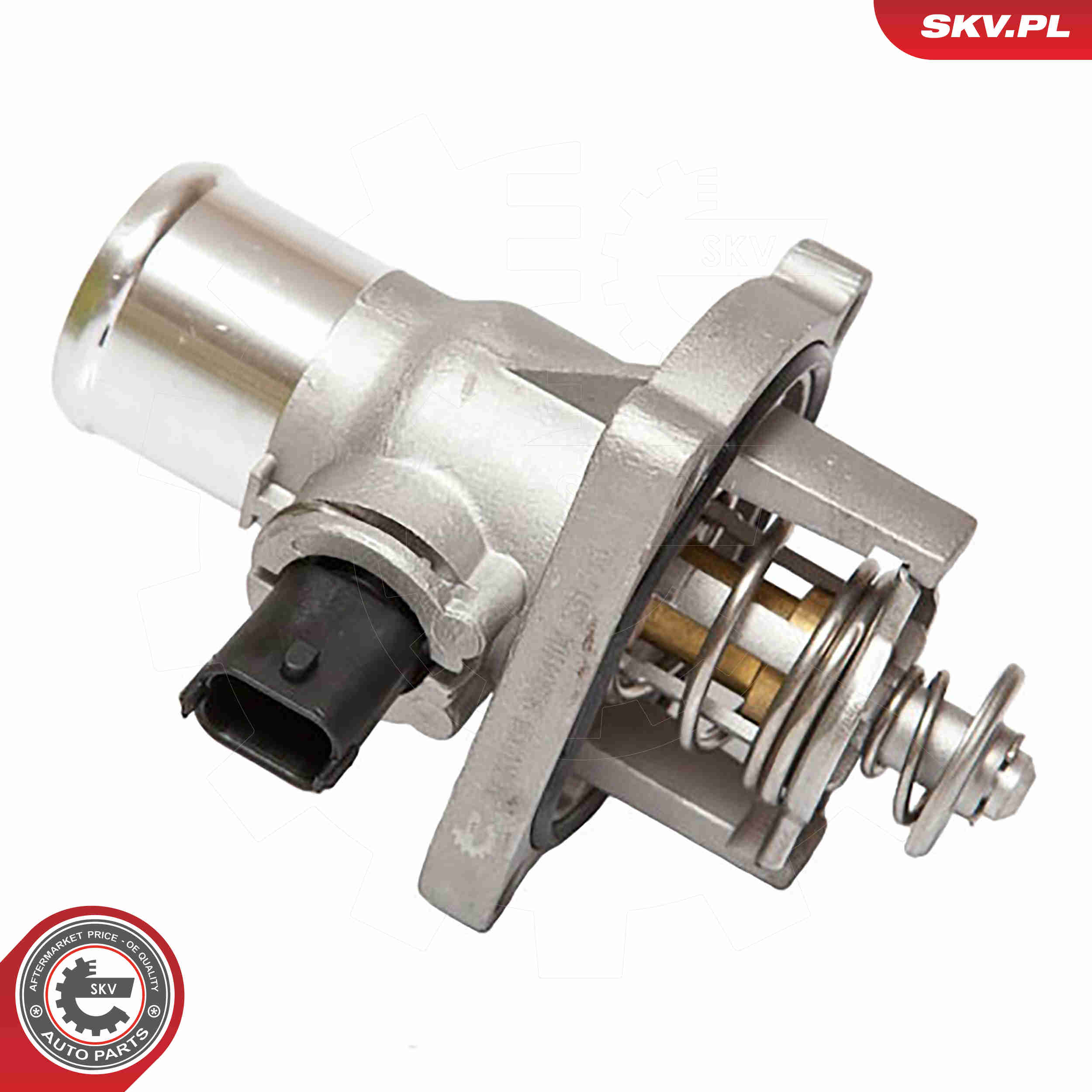 Thermostat, coolant - 20SKV008 ESEN SKV