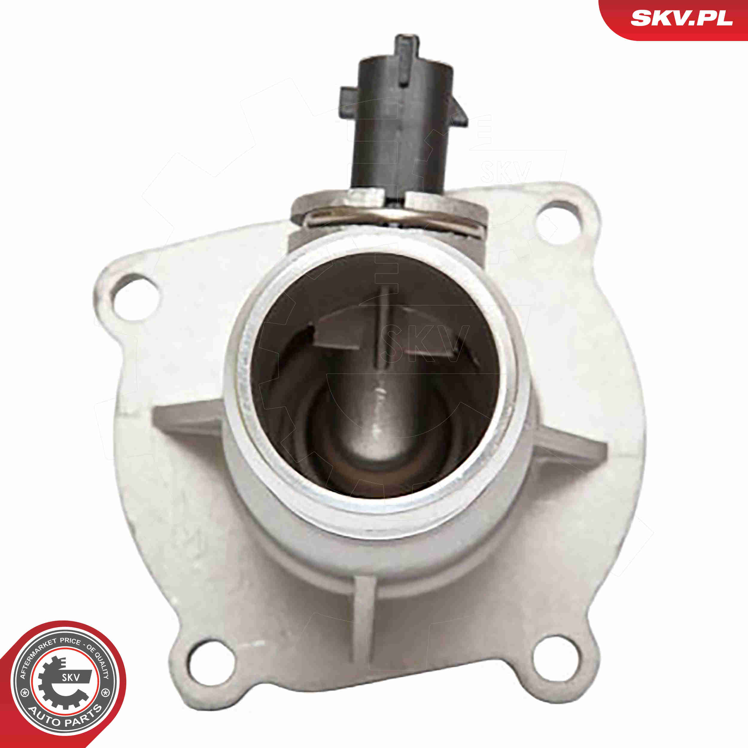 Thermostat, coolant - 20SKV008 ESEN SKV