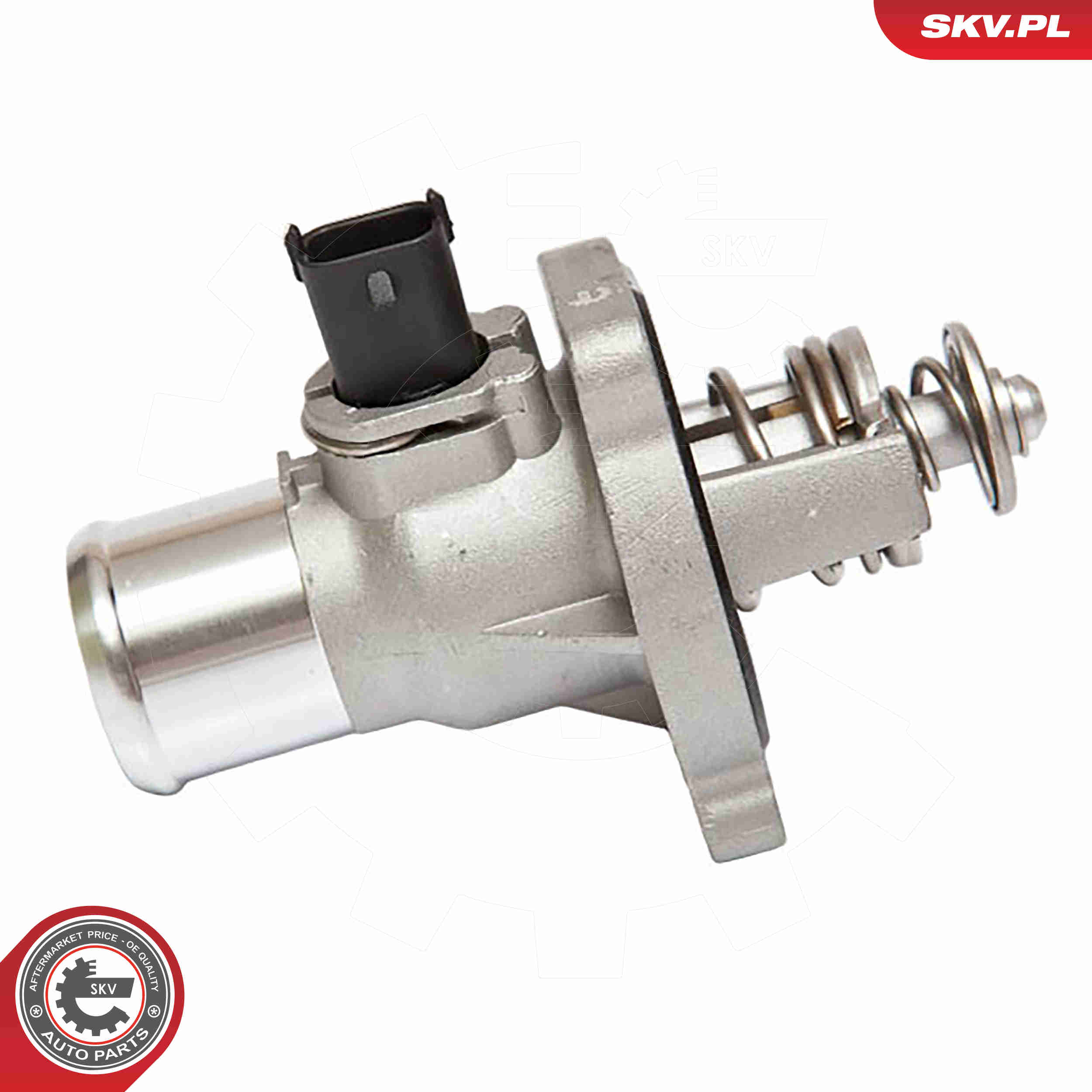 Thermostat, coolant - 20SKV008 ESEN SKV