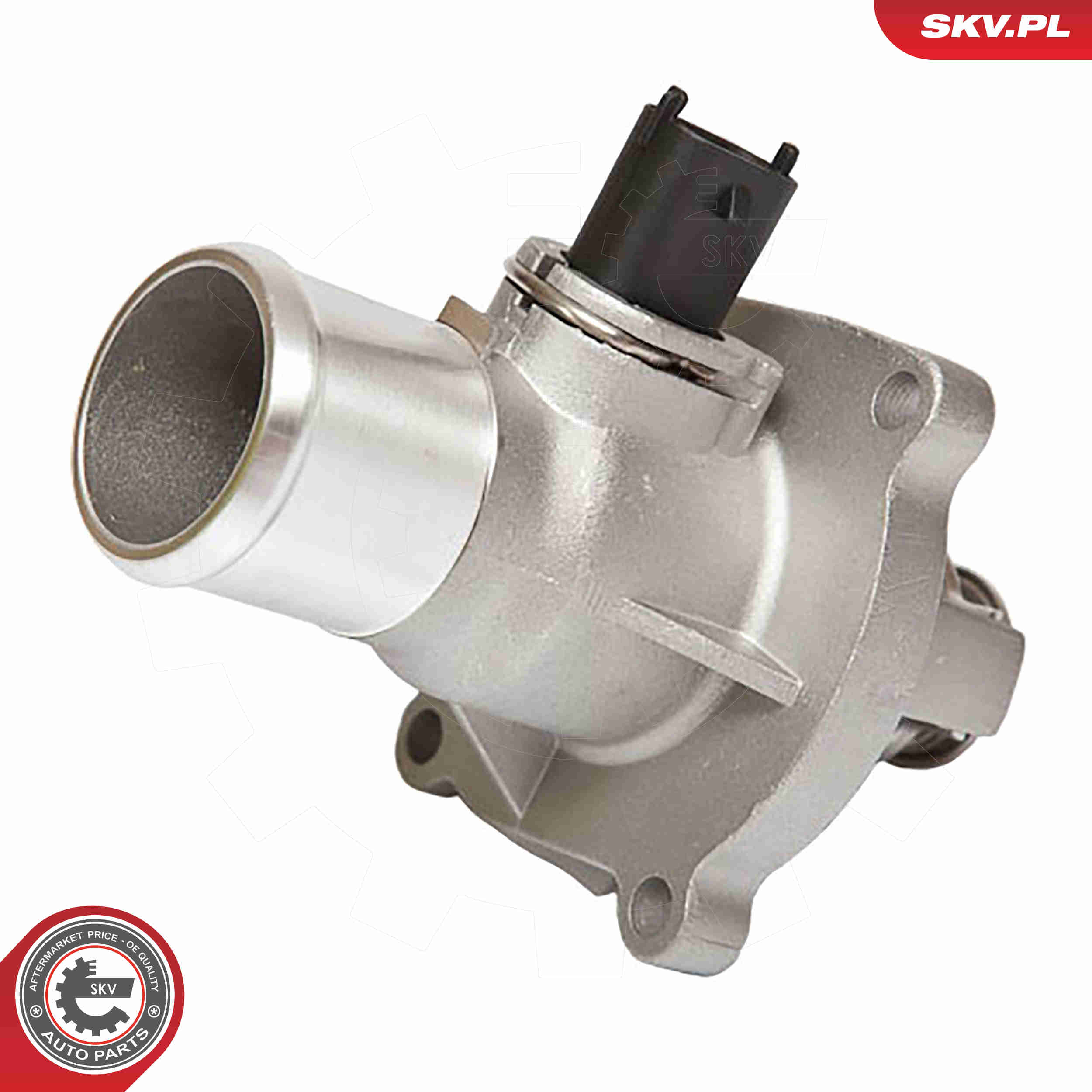 Thermostat, coolant - 20SKV008 ESEN SKV
