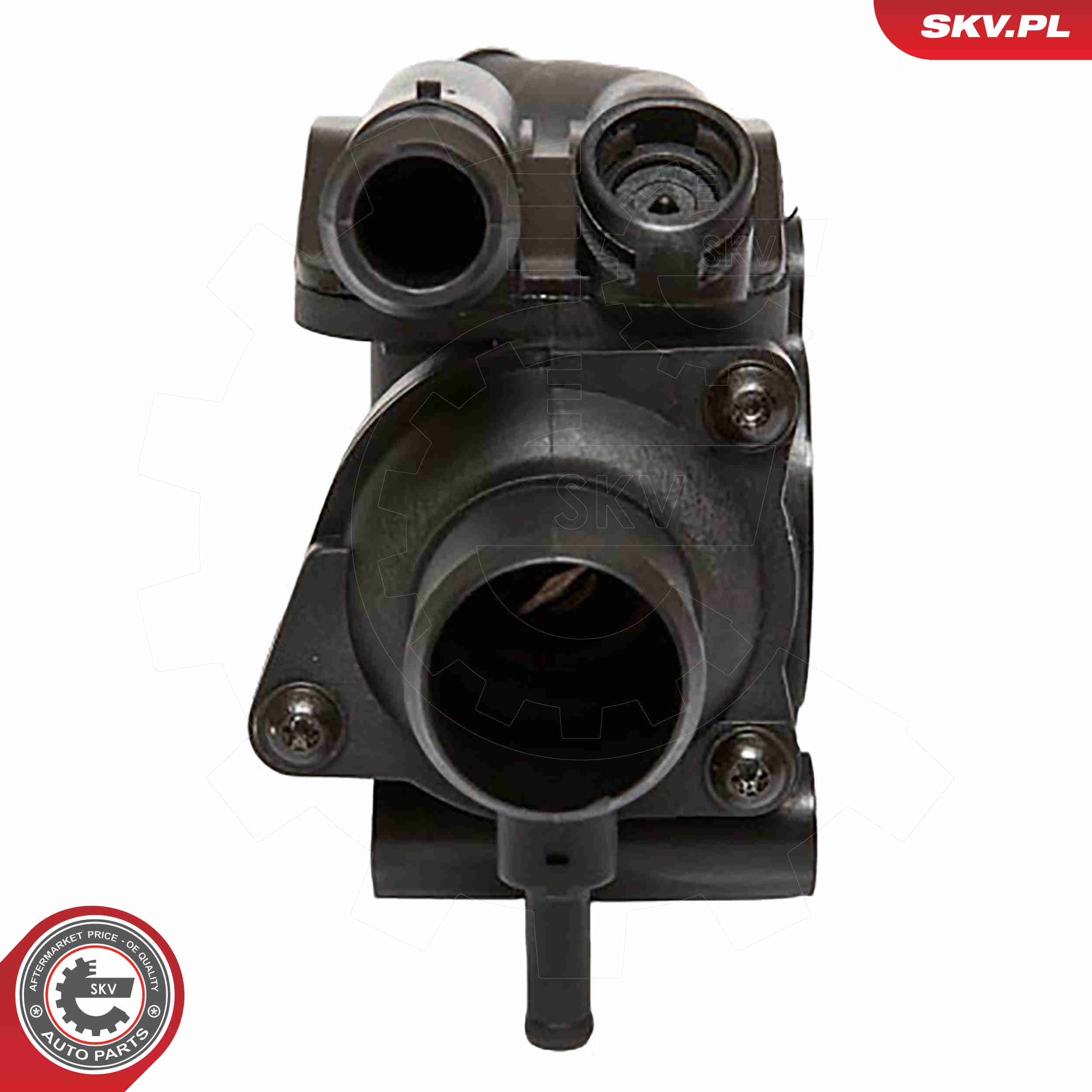 Thermostat, coolant - 20SKV010 ESEN SKV