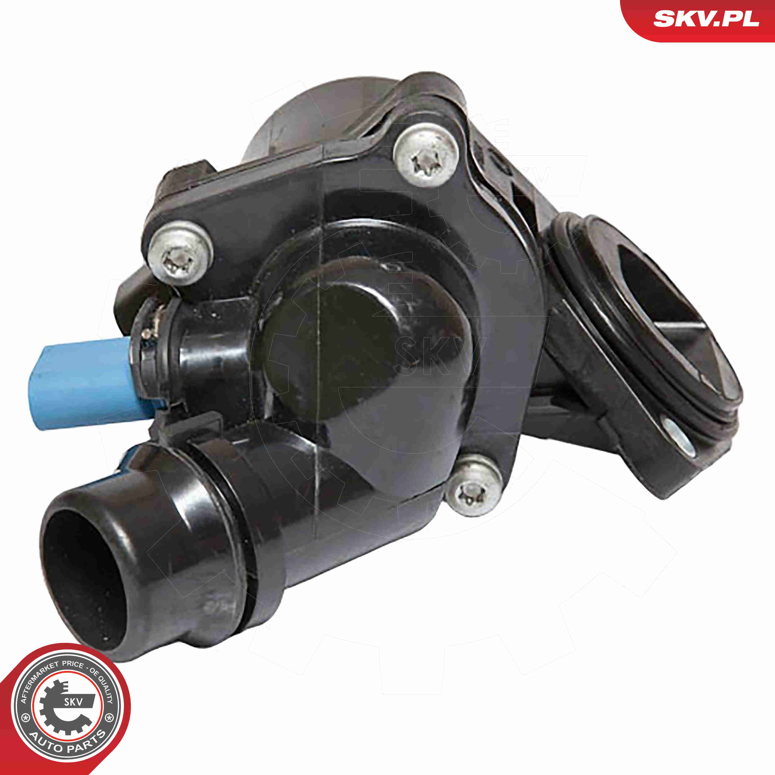 Thermostat, coolant - 20SKV014 ESEN SKV