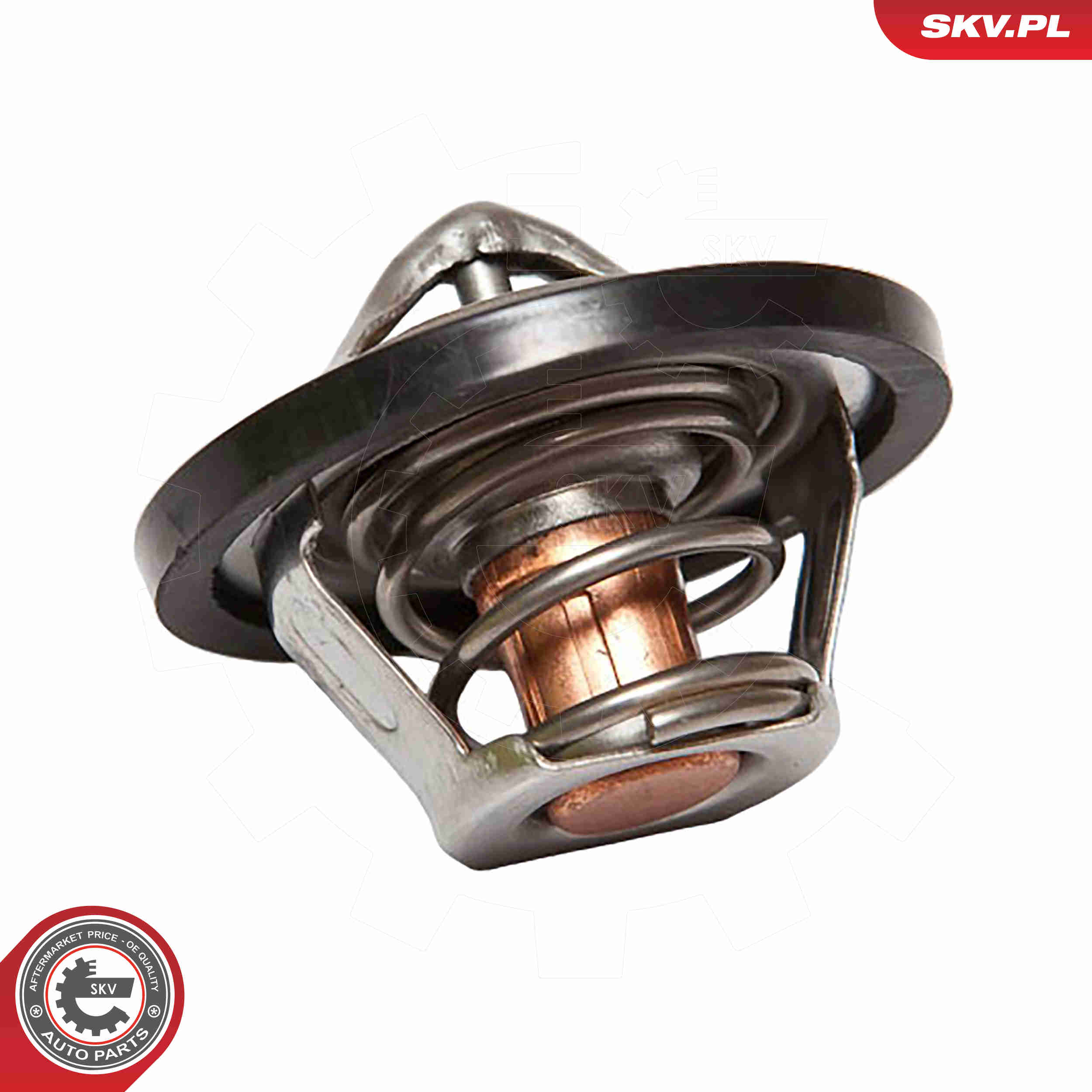 Thermostat, coolant - 20SKV015 ESEN SKV
