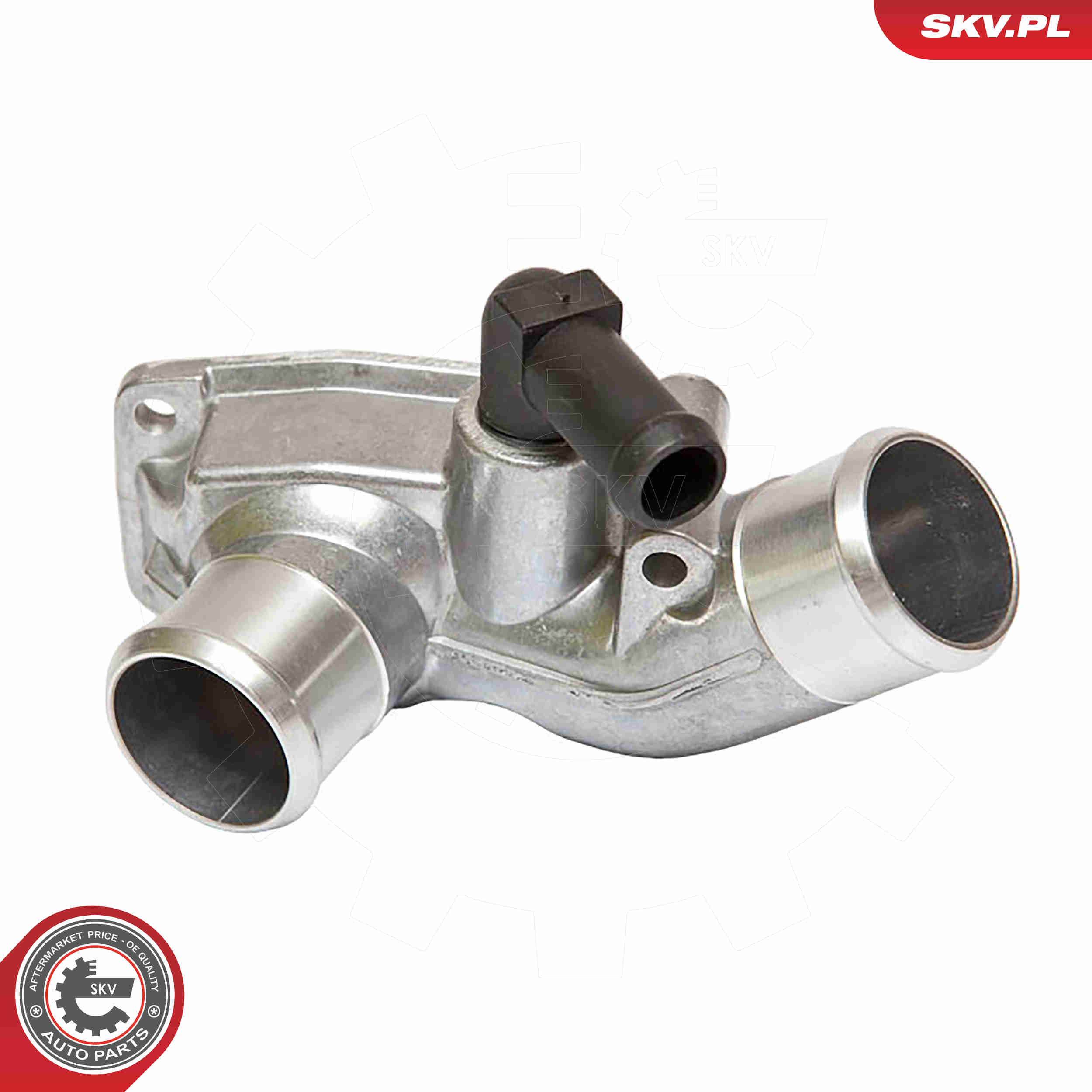 Thermostat, coolant - 20SKV016 ESEN SKV