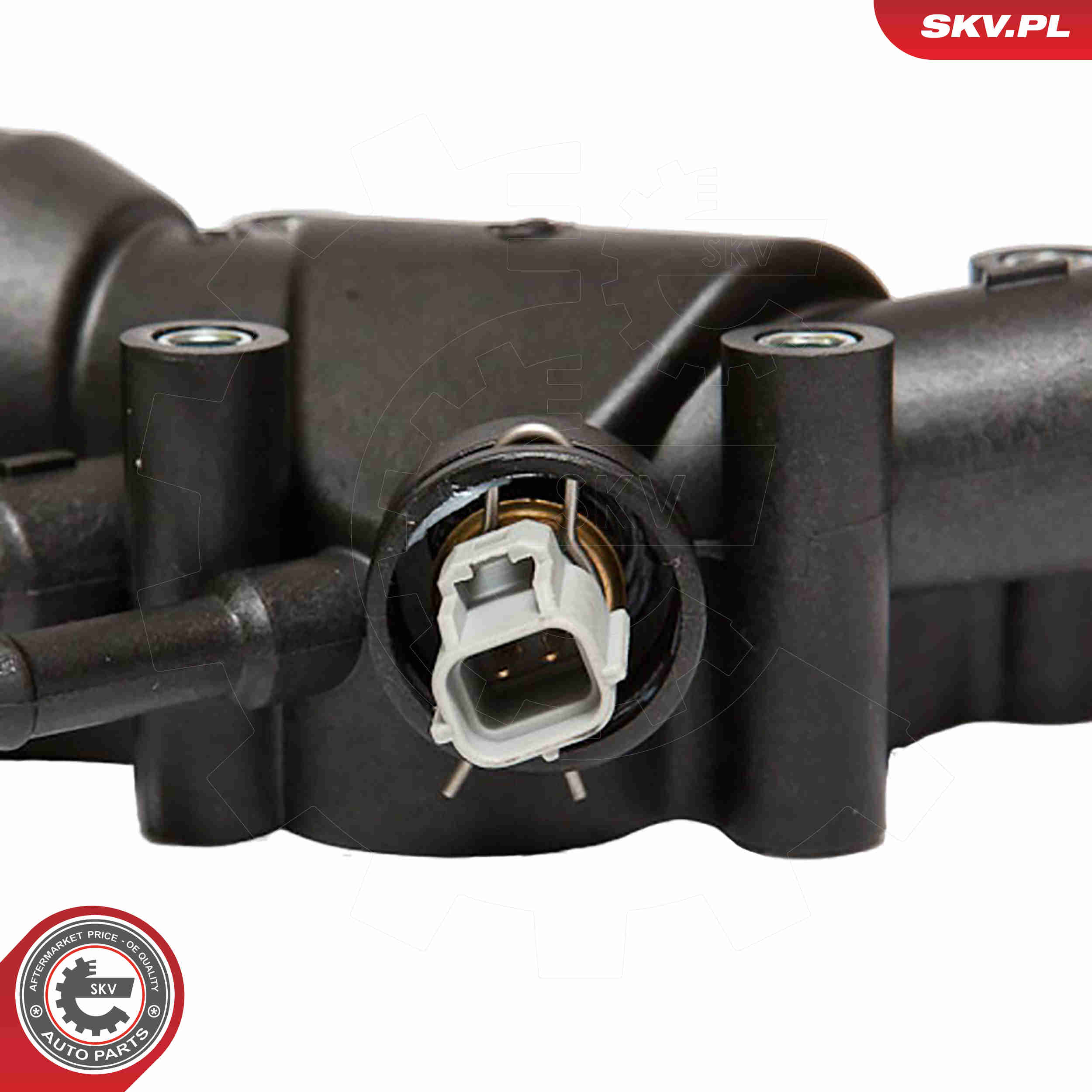 Thermostat, coolant - 20SKV017 ESEN SKV