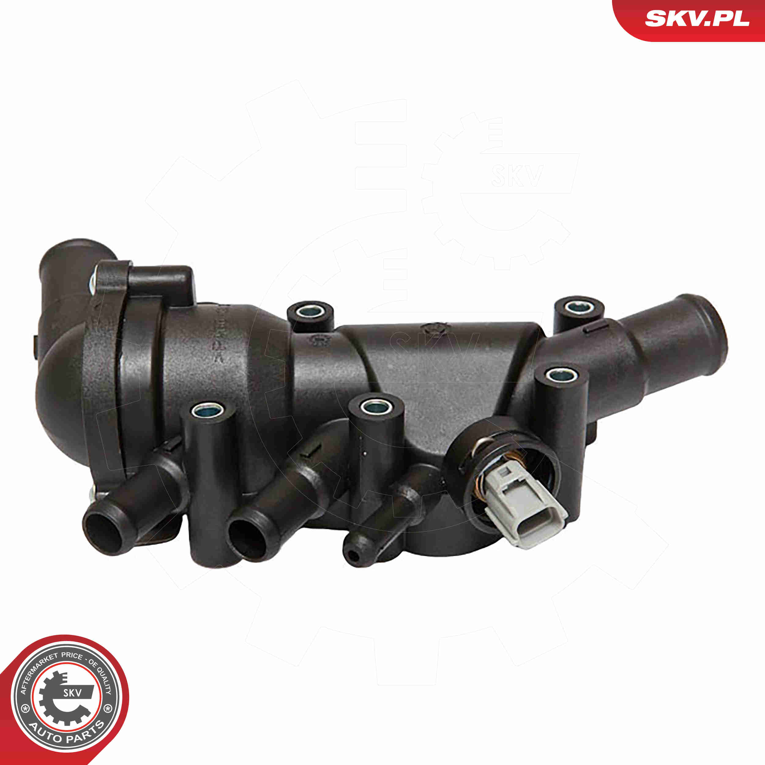 Thermostat, coolant - 20SKV017 ESEN SKV