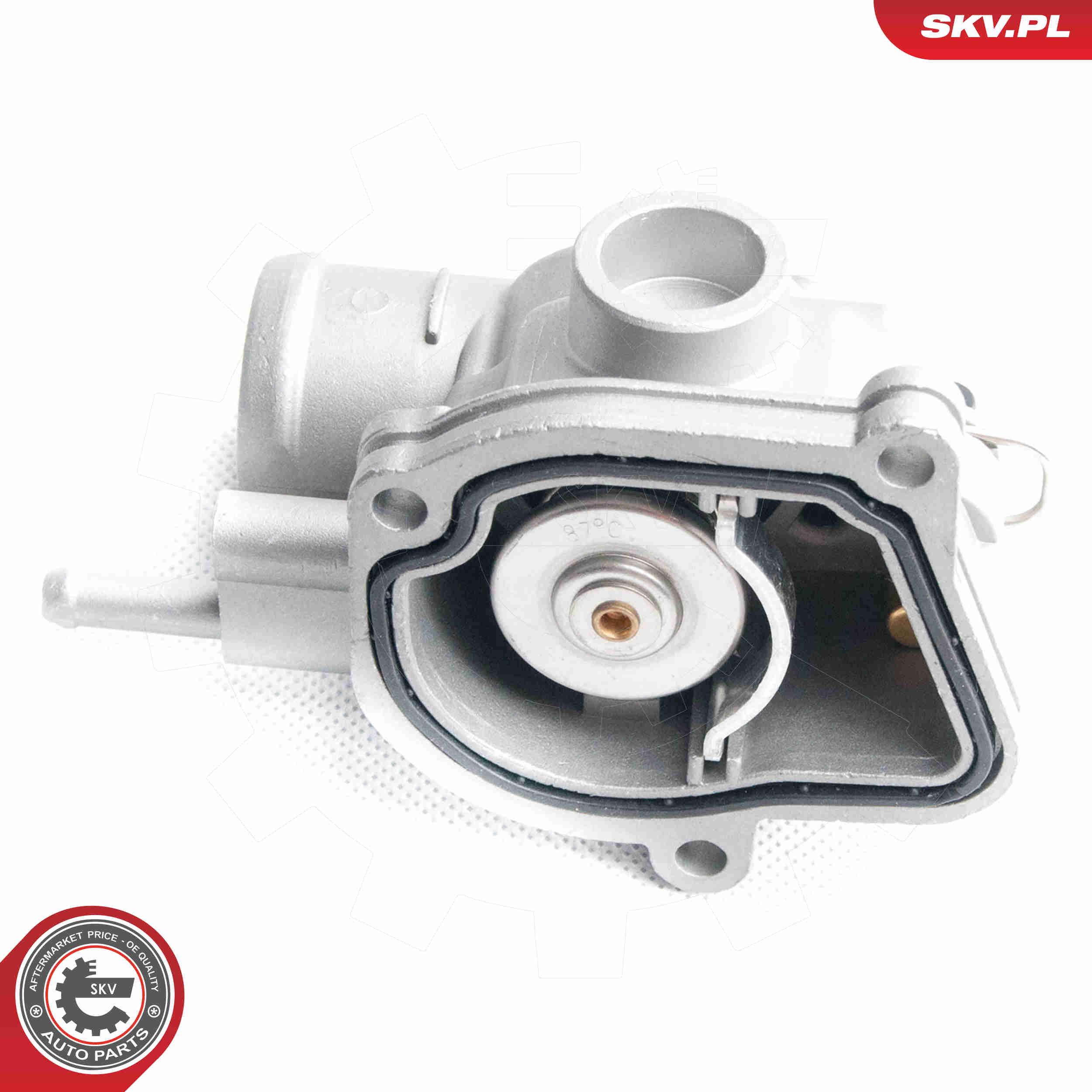 Thermostat, coolant - 20SKV023 ESEN SKV