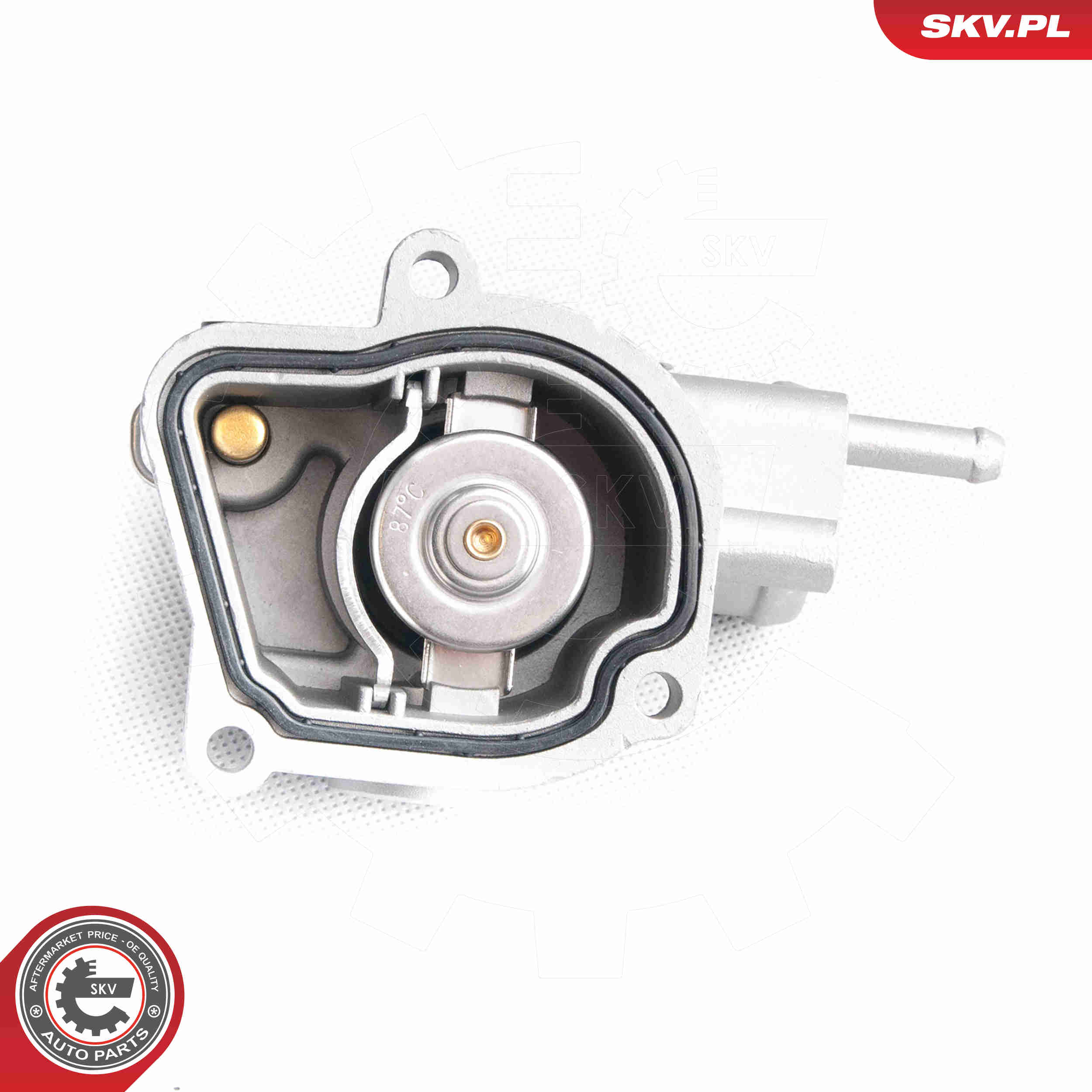 Thermostat, coolant - 20SKV029 ESEN SKV