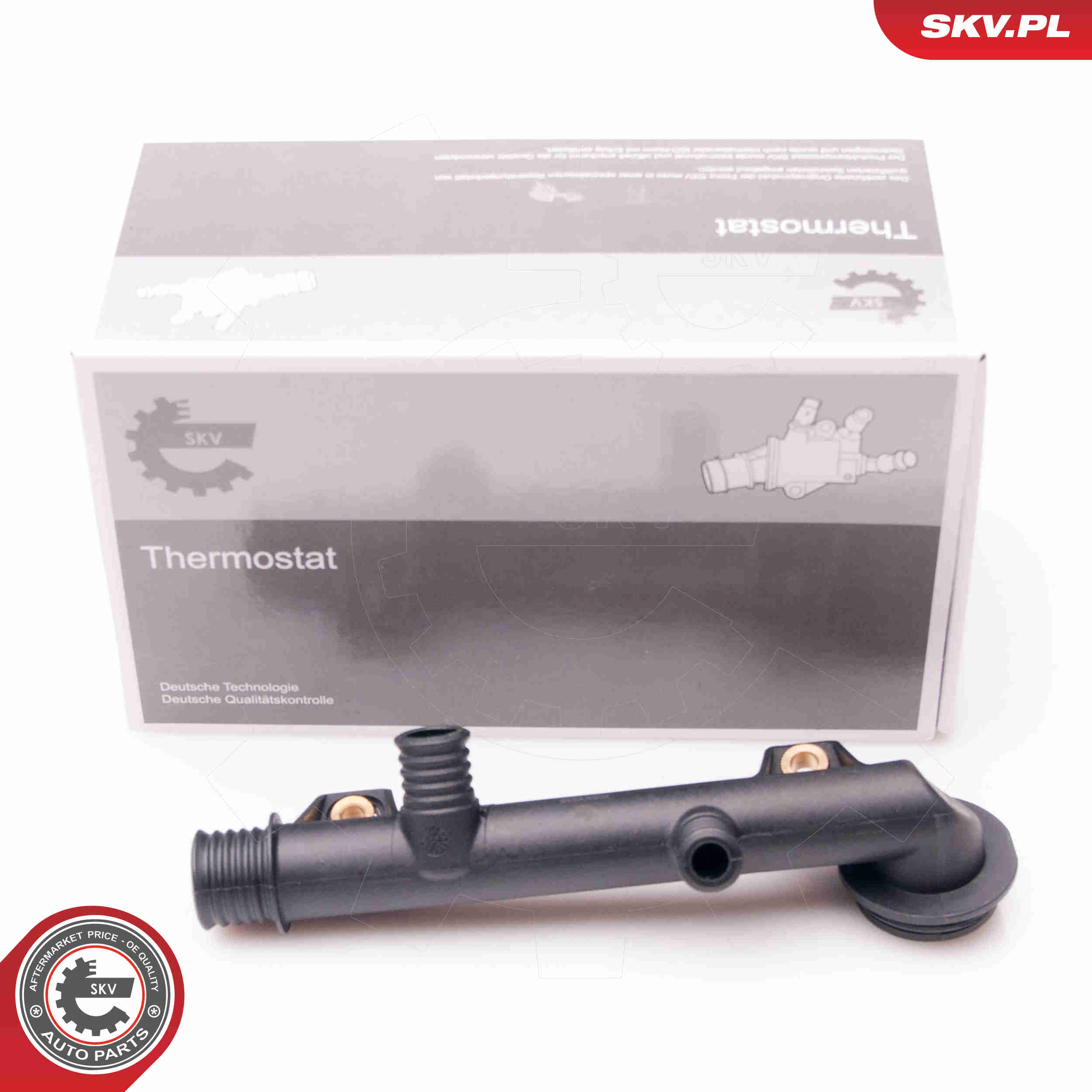 Sealing Plug, coolant flange - 20SKV059 ESEN SKV