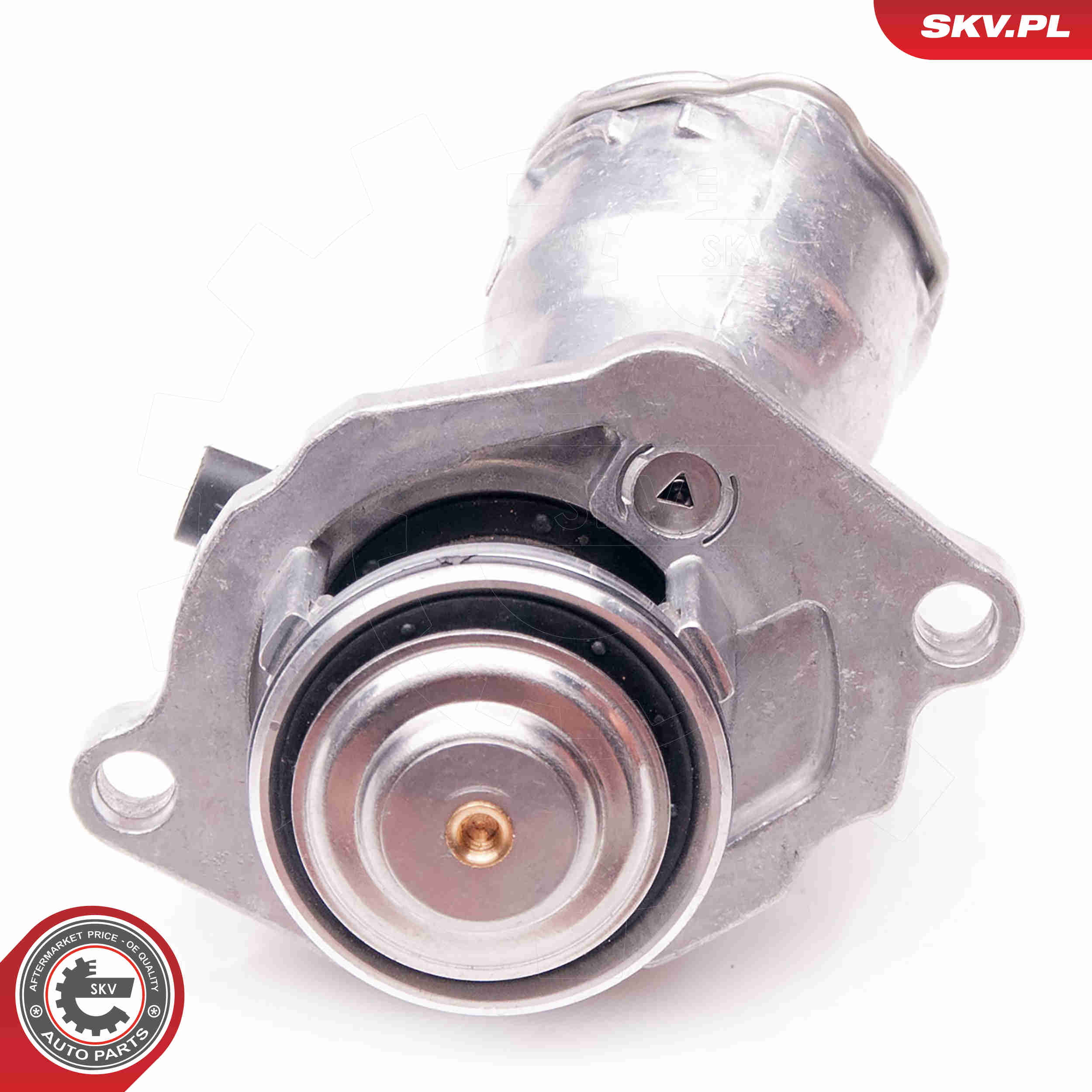 Thermostat, coolant - 20SKV060 ESEN SKV