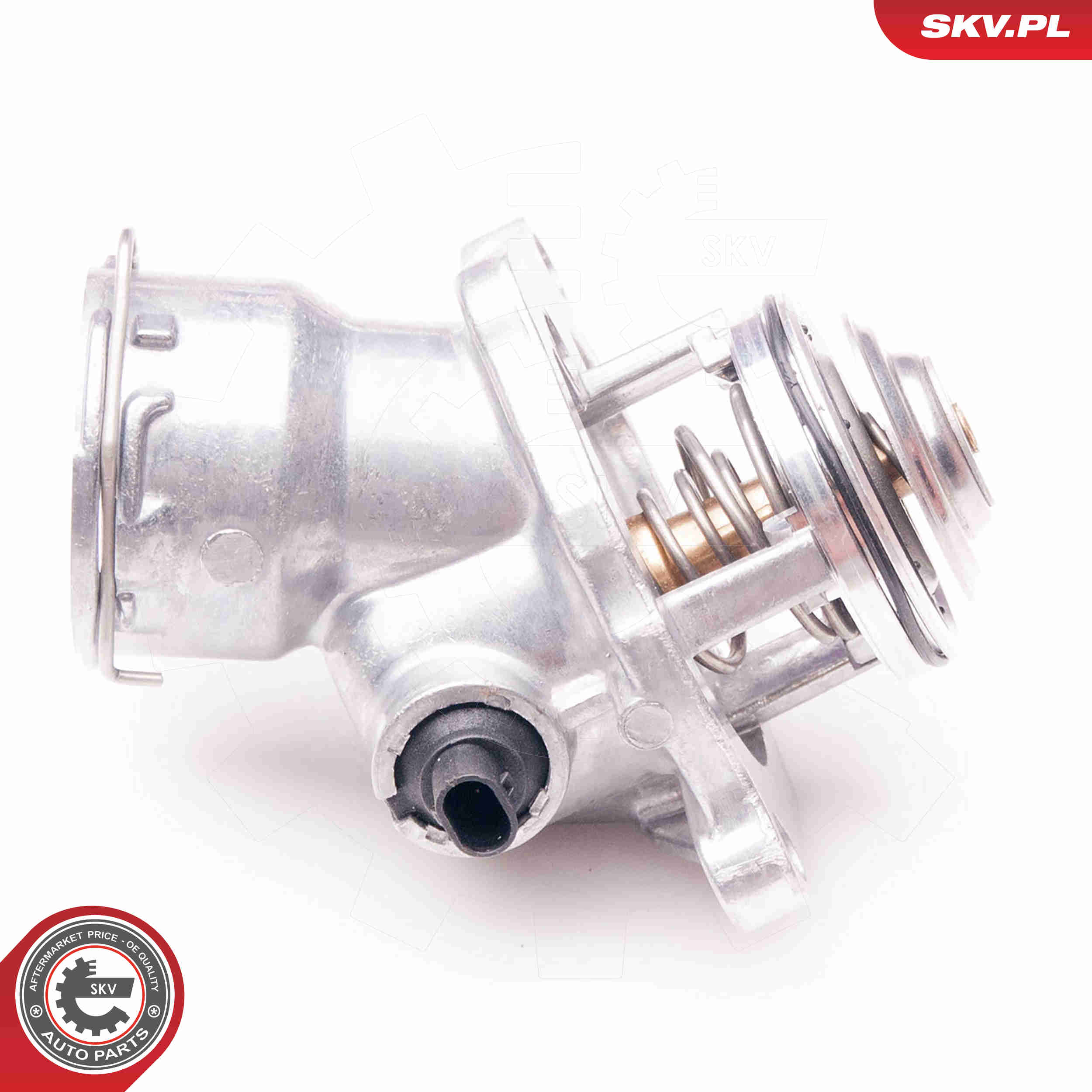 Thermostat, coolant - 20SKV060 ESEN SKV