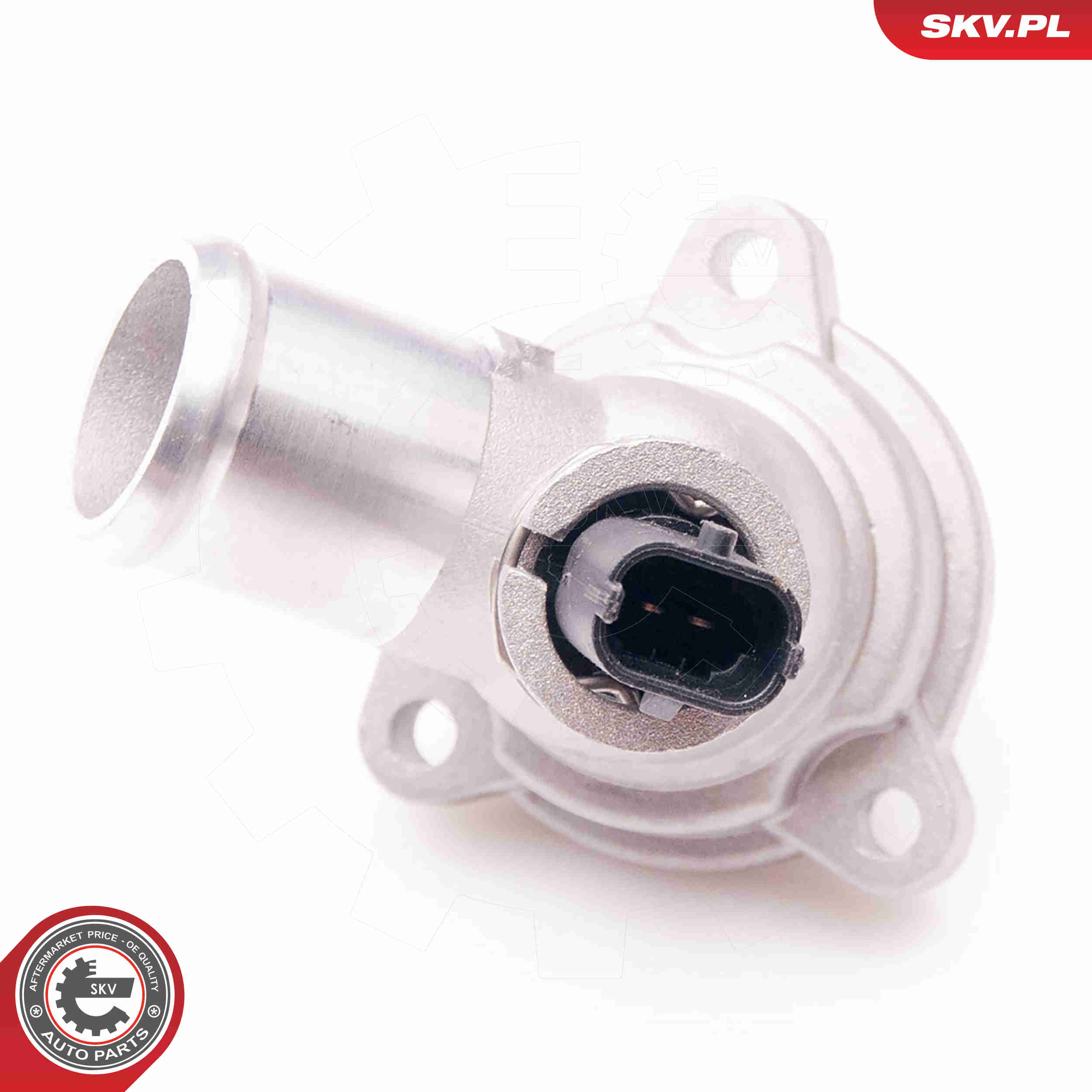 Thermostat, coolant - 20SKV065 ESEN SKV