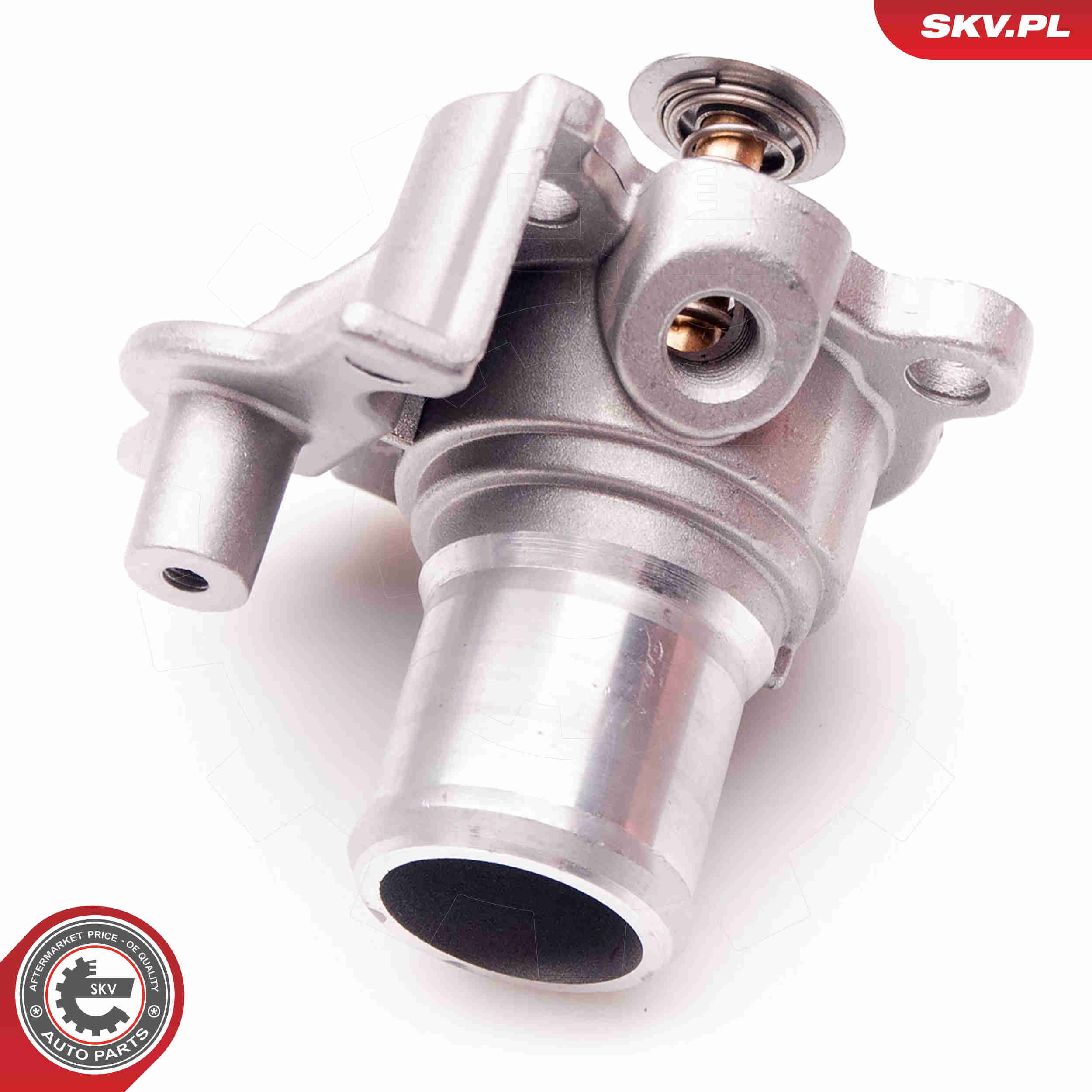 Thermostat, coolant - 20SKV069 ESEN SKV