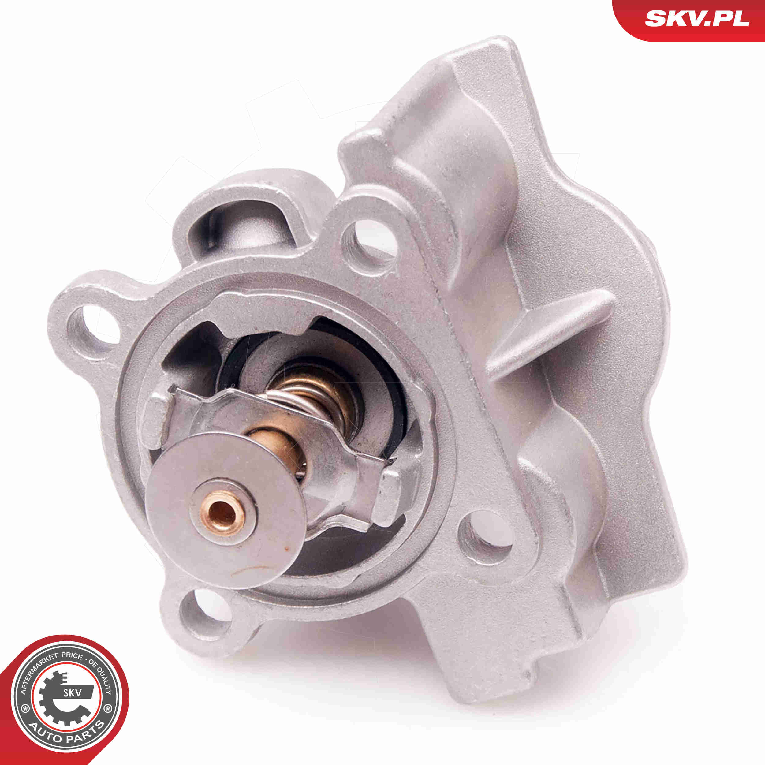 Thermostat, coolant - 20SKV069 ESEN SKV