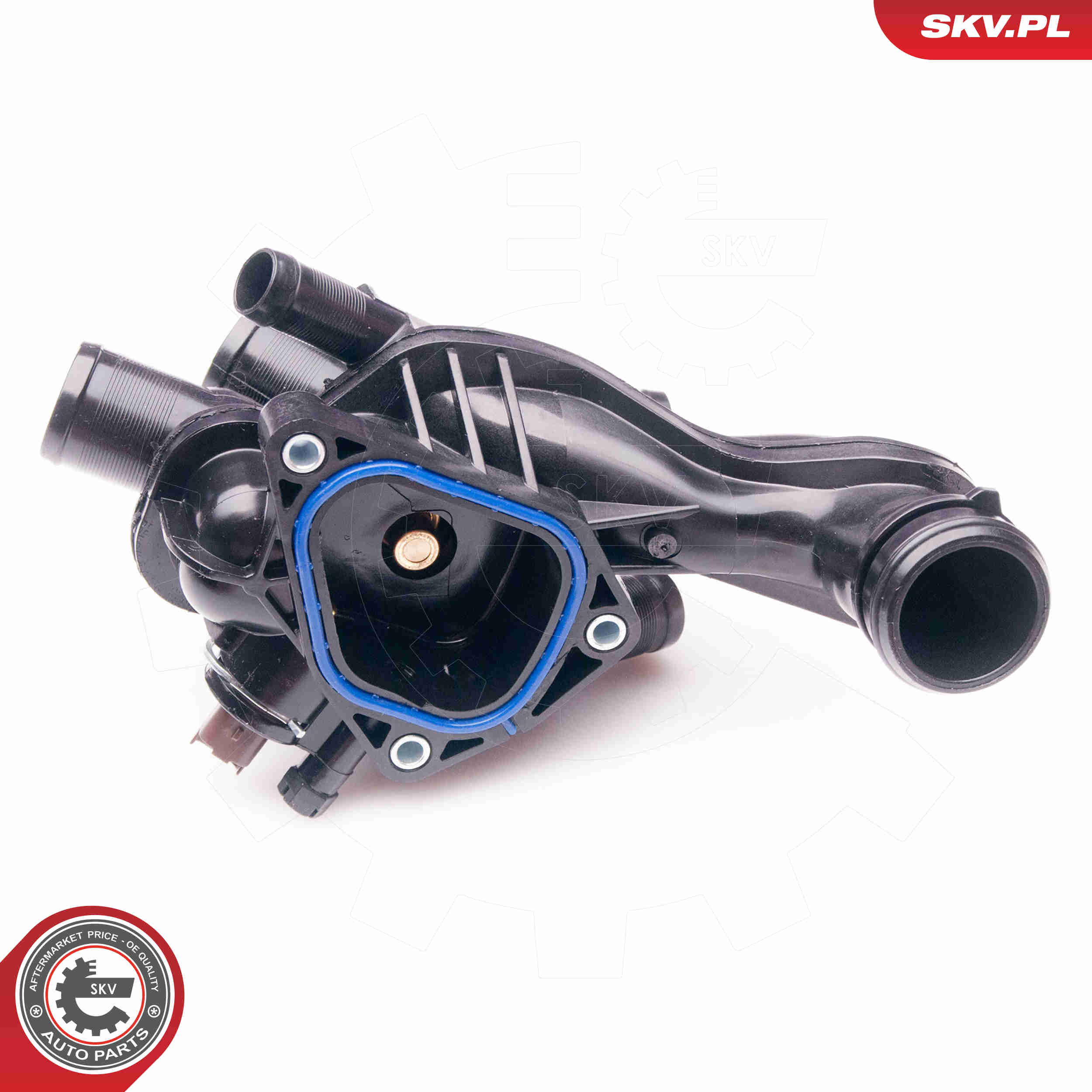 Thermostat, coolant - 20SKV070 ESEN SKV