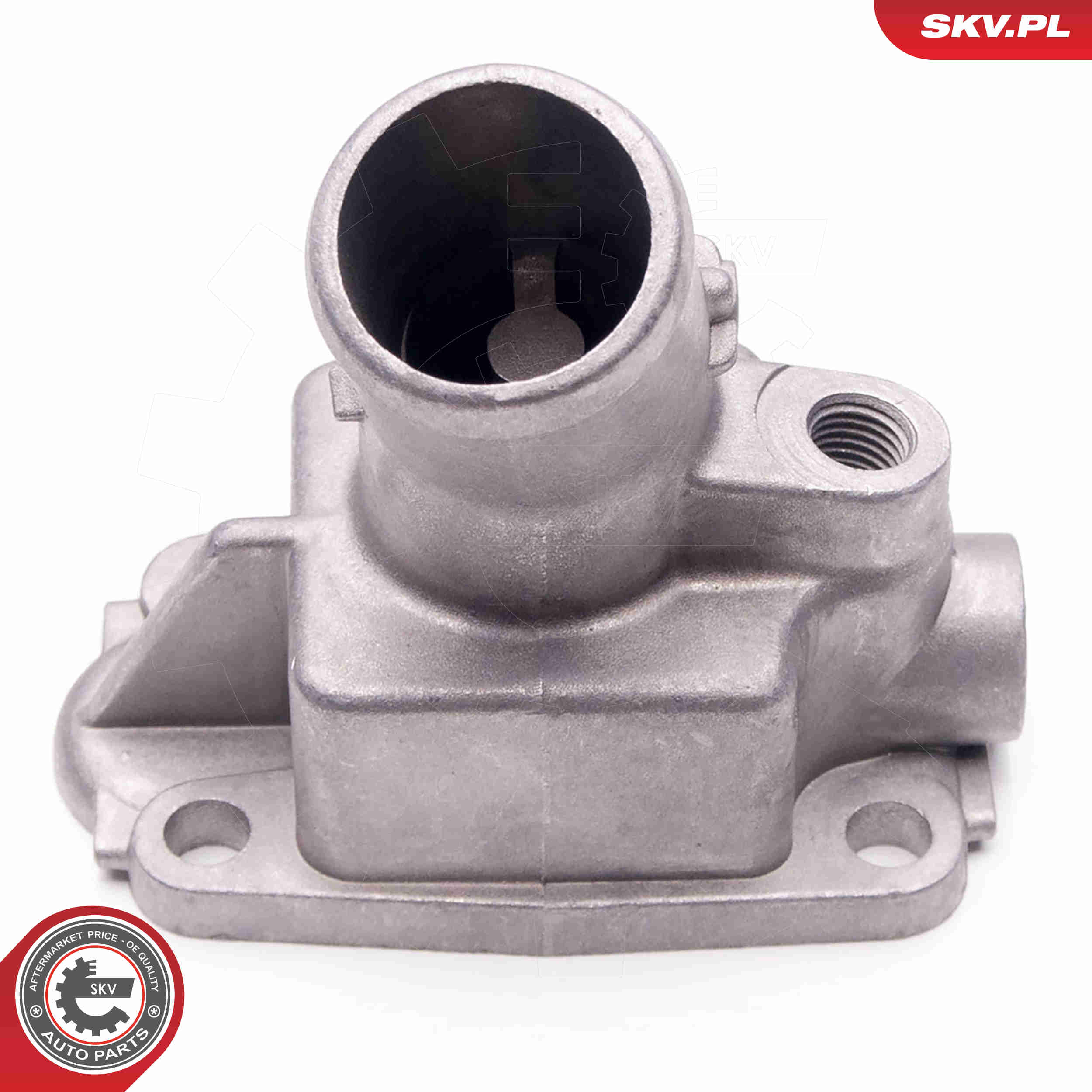 Thermostat, coolant - 20SKV079 ESEN SKV