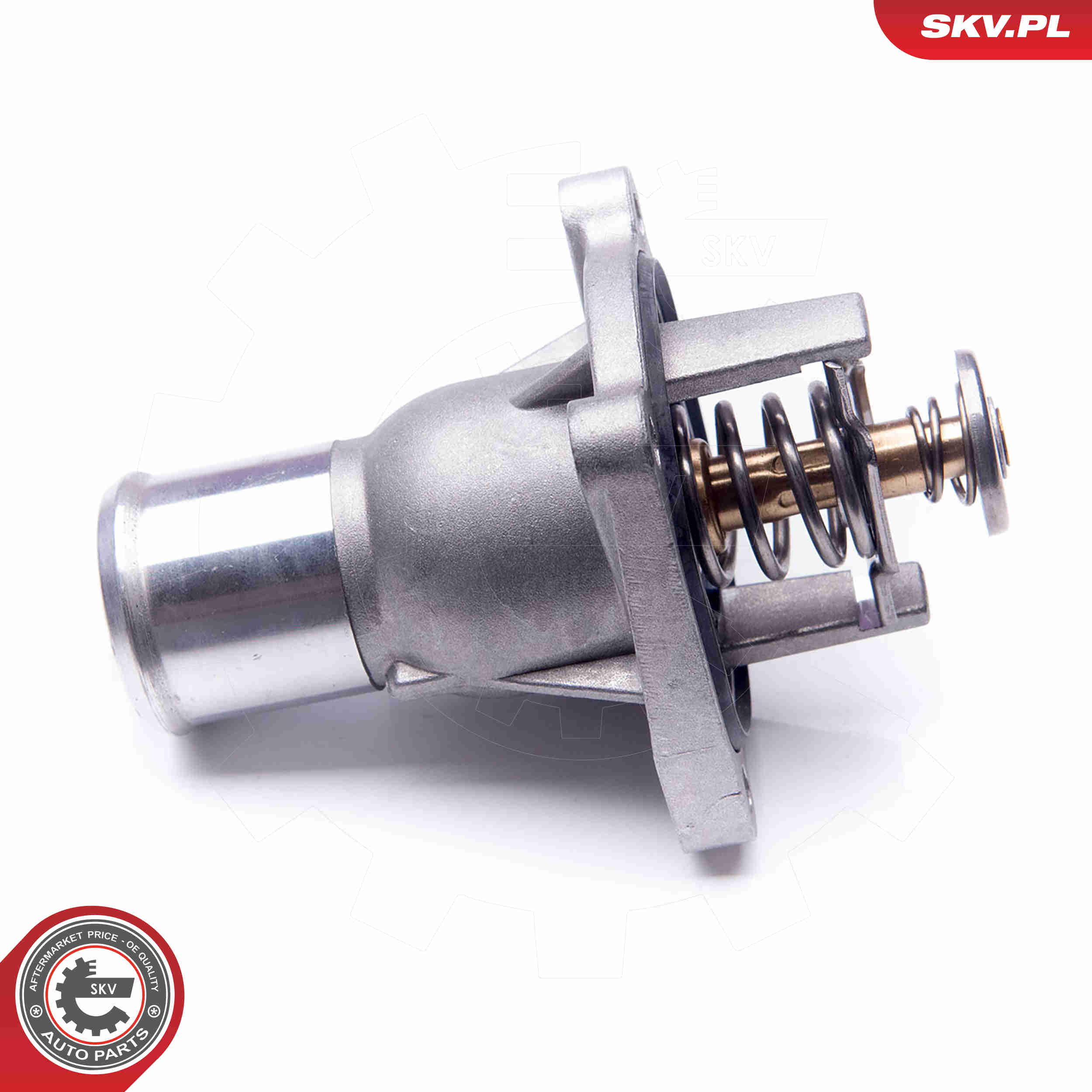 Thermostat, coolant - 20SKV081 ESEN SKV