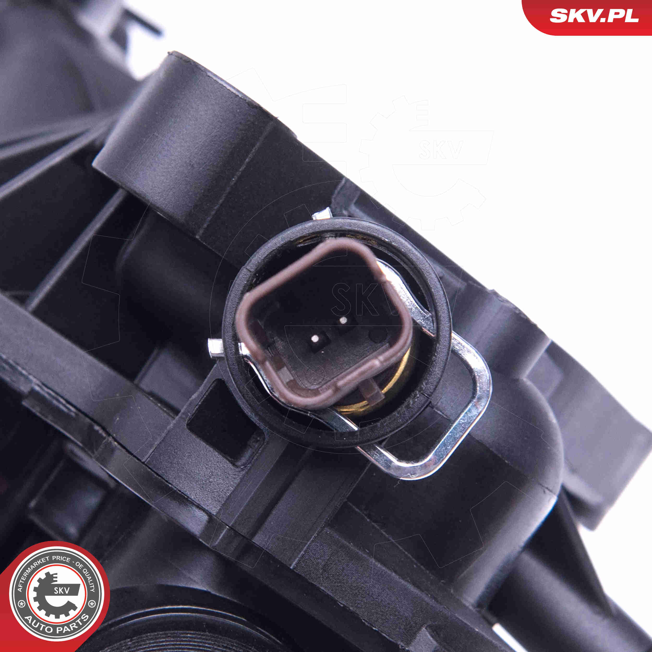 Thermostat, coolant - 20SKV096 ESEN SKV