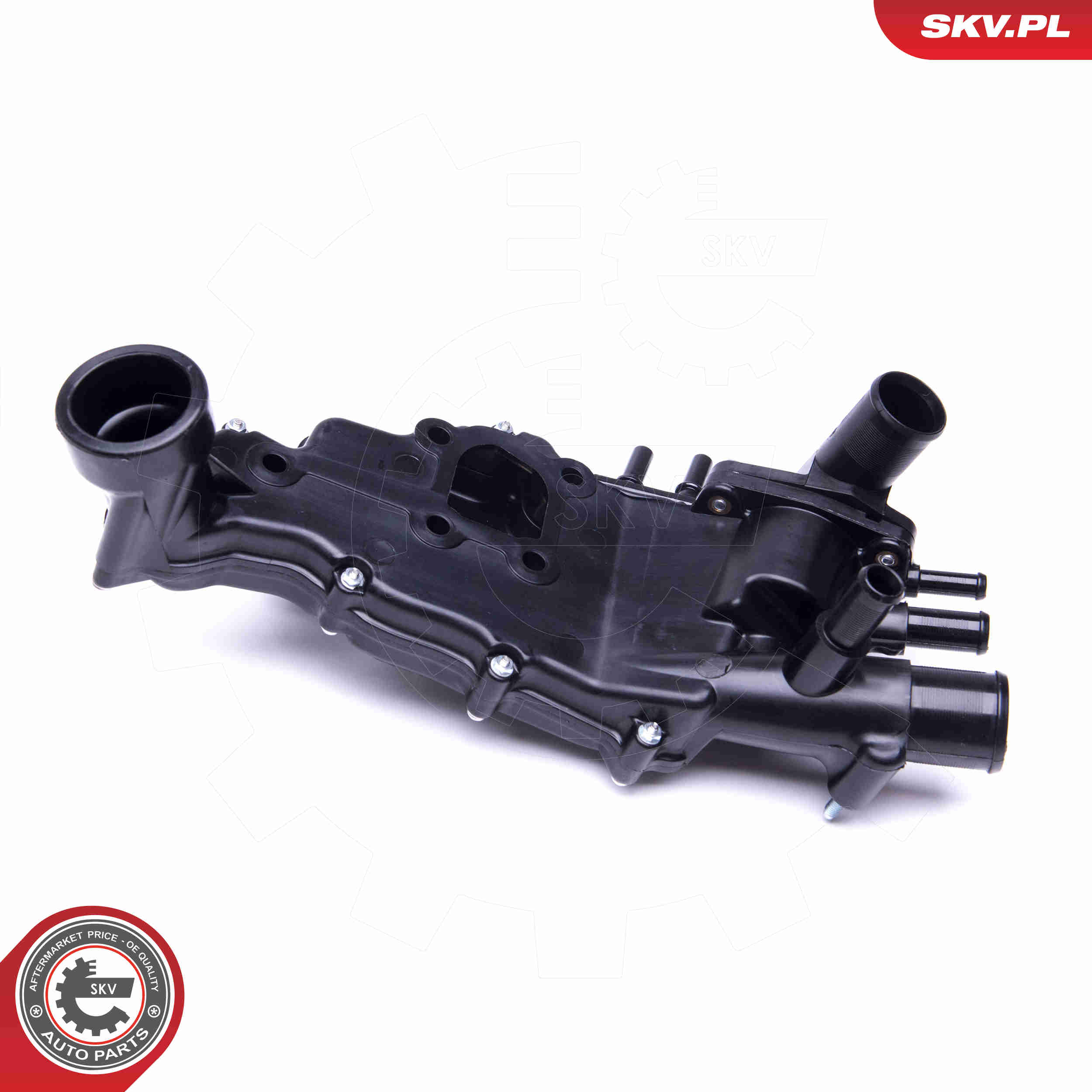 Thermostat, coolant - 20SKV113 ESEN SKV