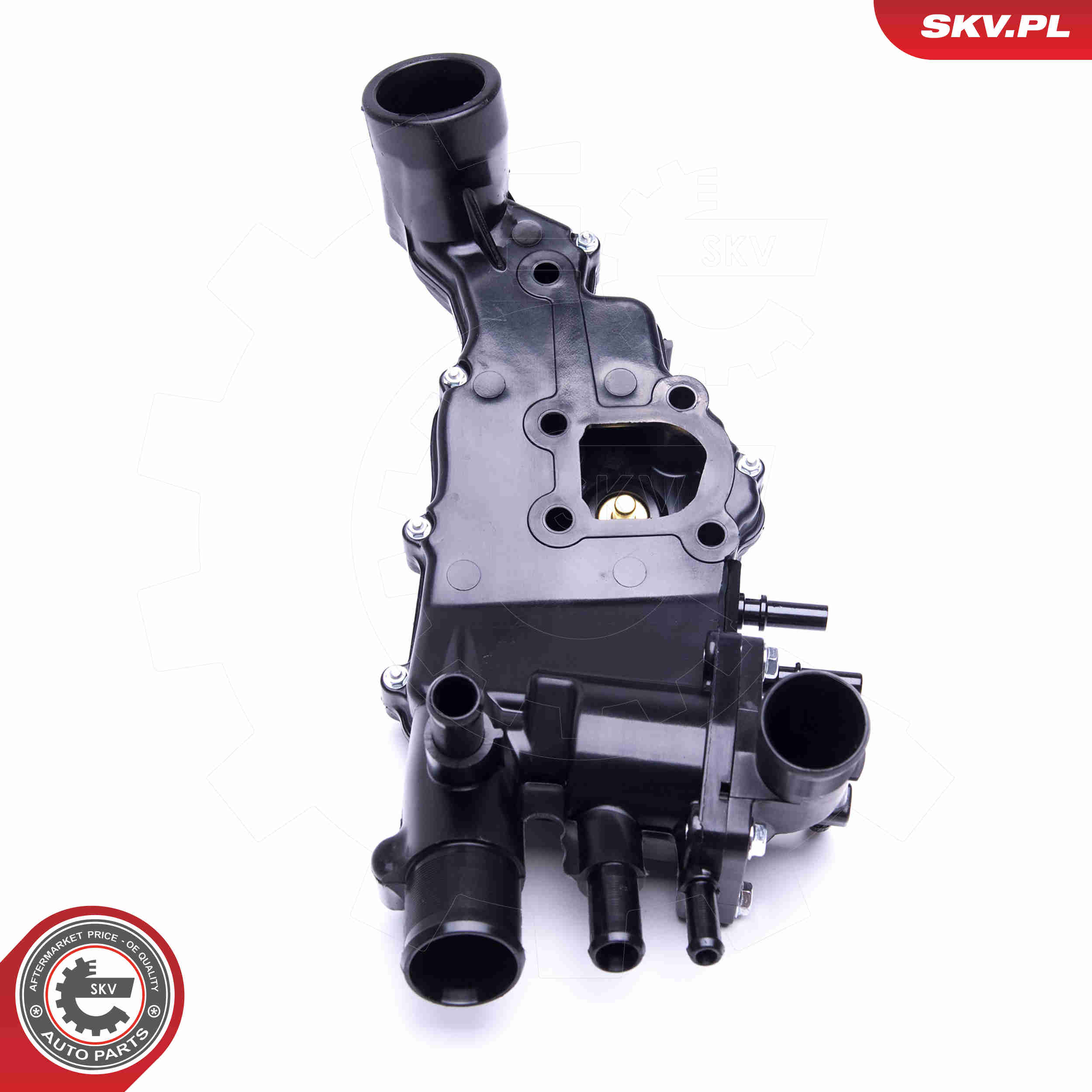Thermostat, coolant - 20SKV113 ESEN SKV