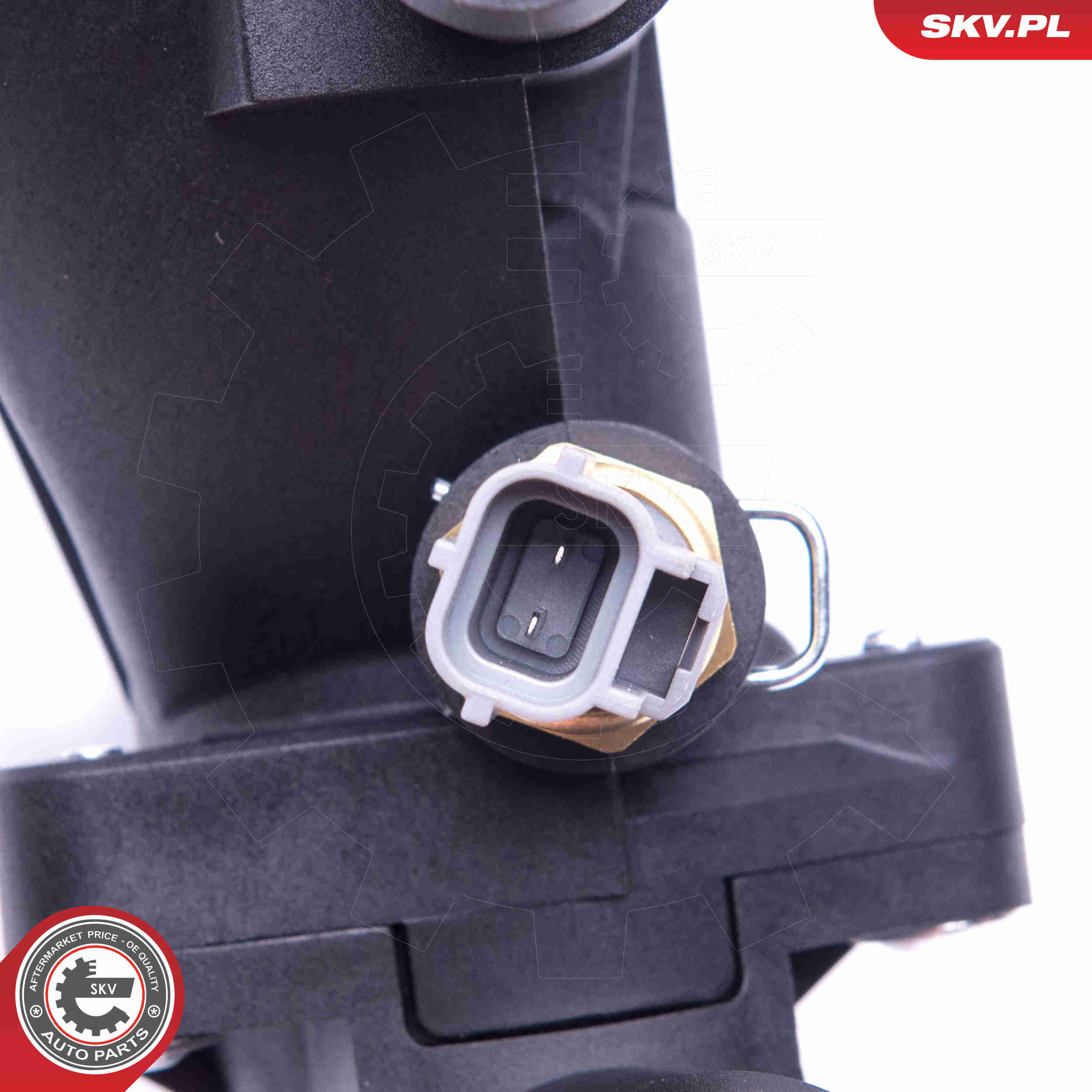 Thermostat, coolant - 20SKV124 ESEN SKV