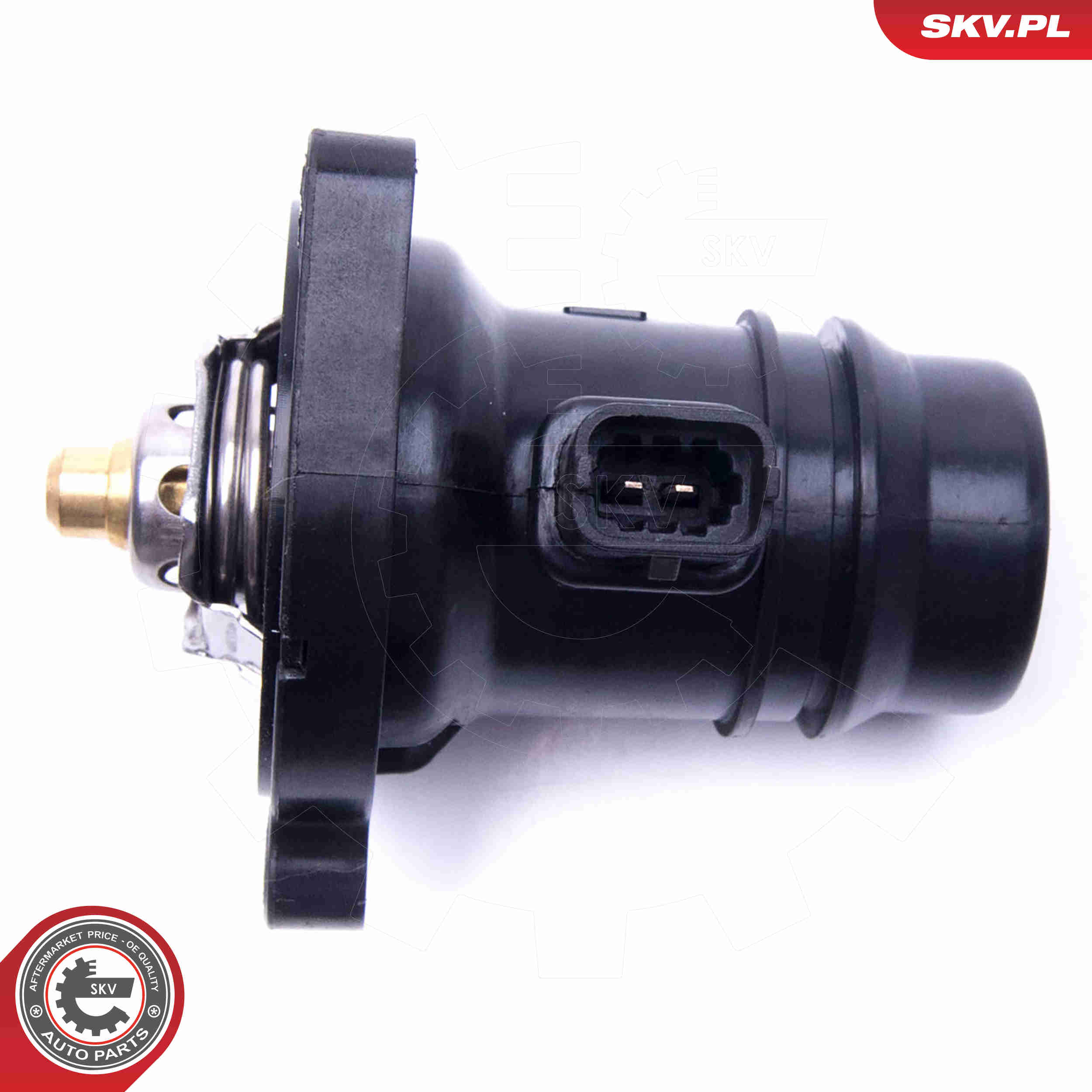 Thermostat, coolant - 20SKV133 ESEN SKV