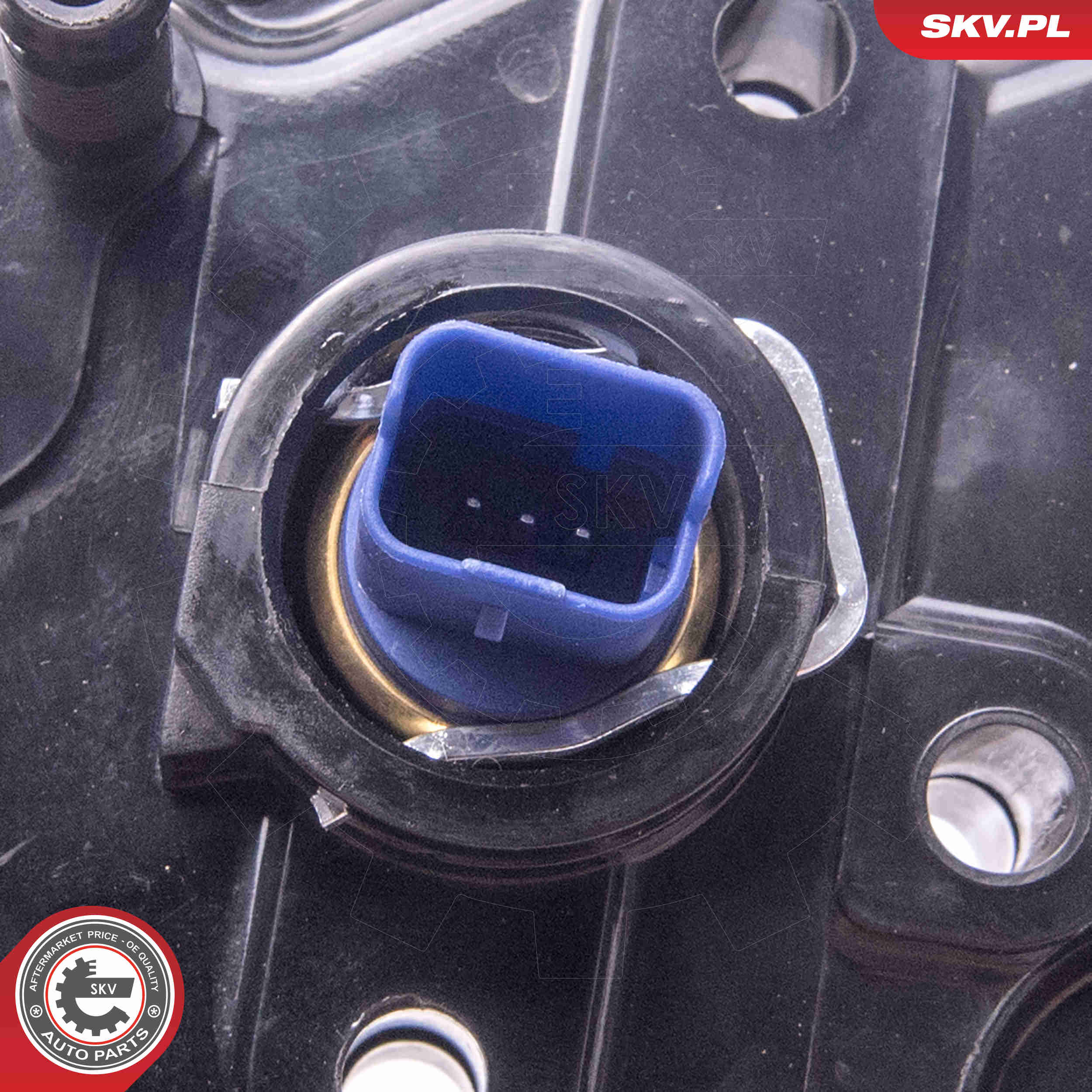 Thermostat, coolant - 20SKV161 ESEN SKV