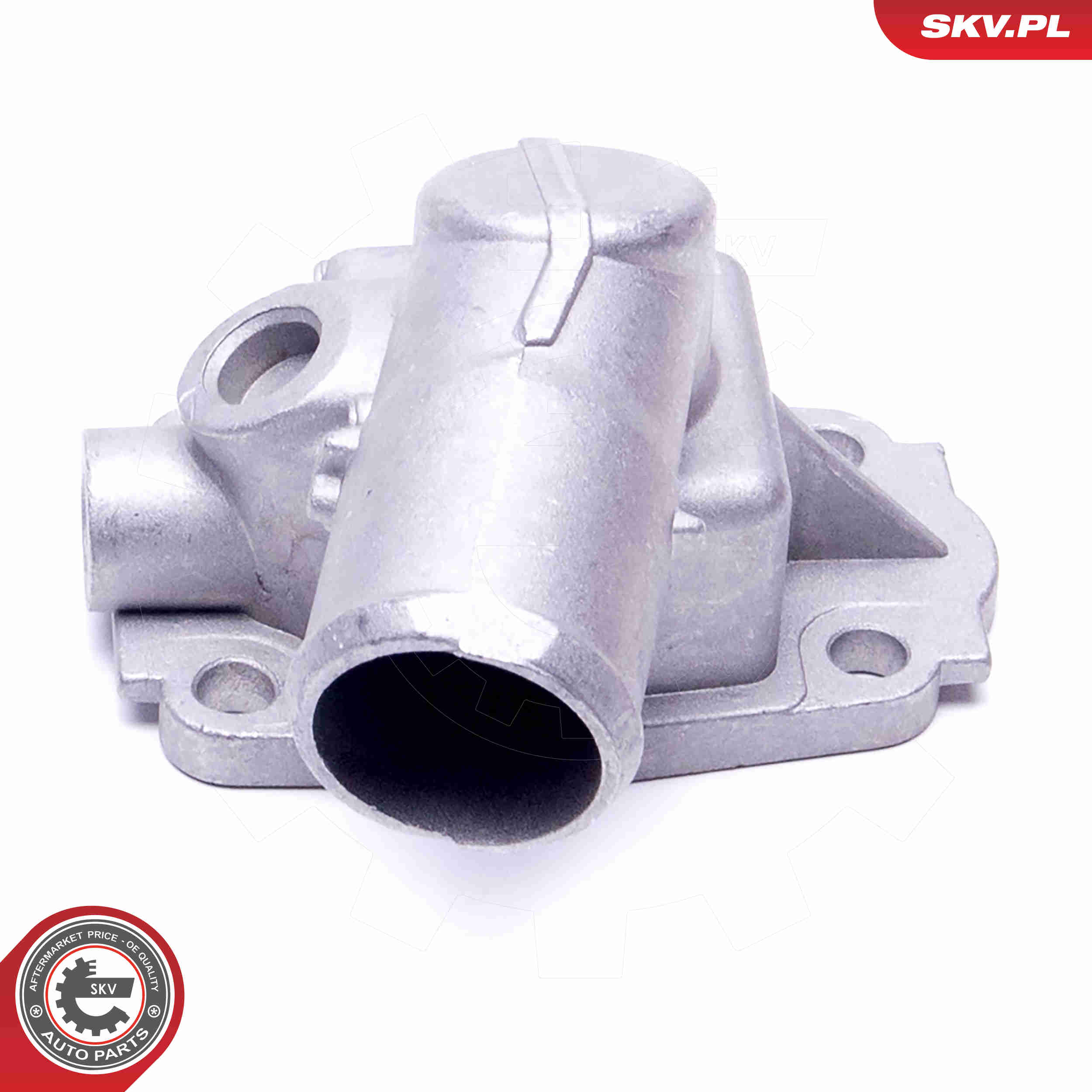 Thermostat, coolant - 20SKV168 ESEN SKV