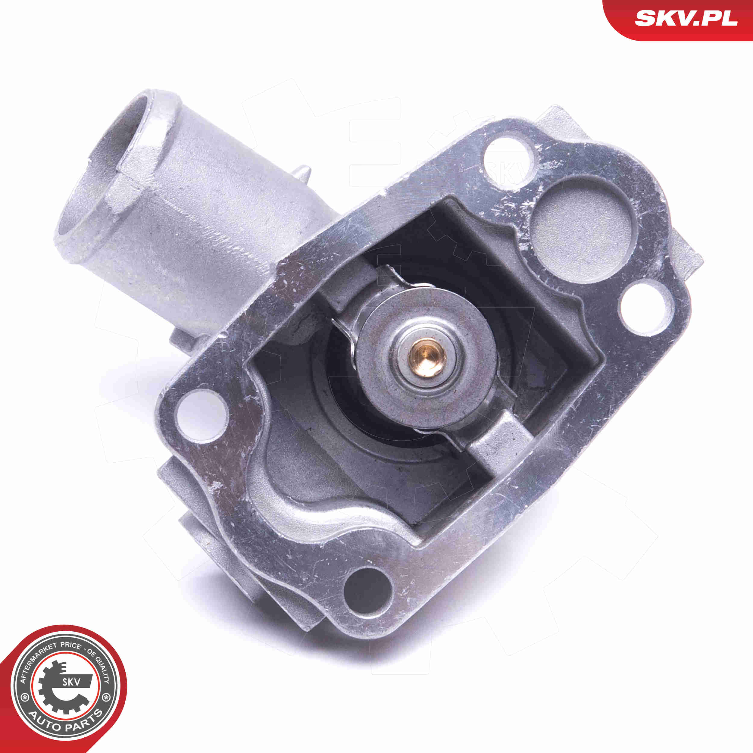 Thermostat, coolant - 20SKV168 ESEN SKV