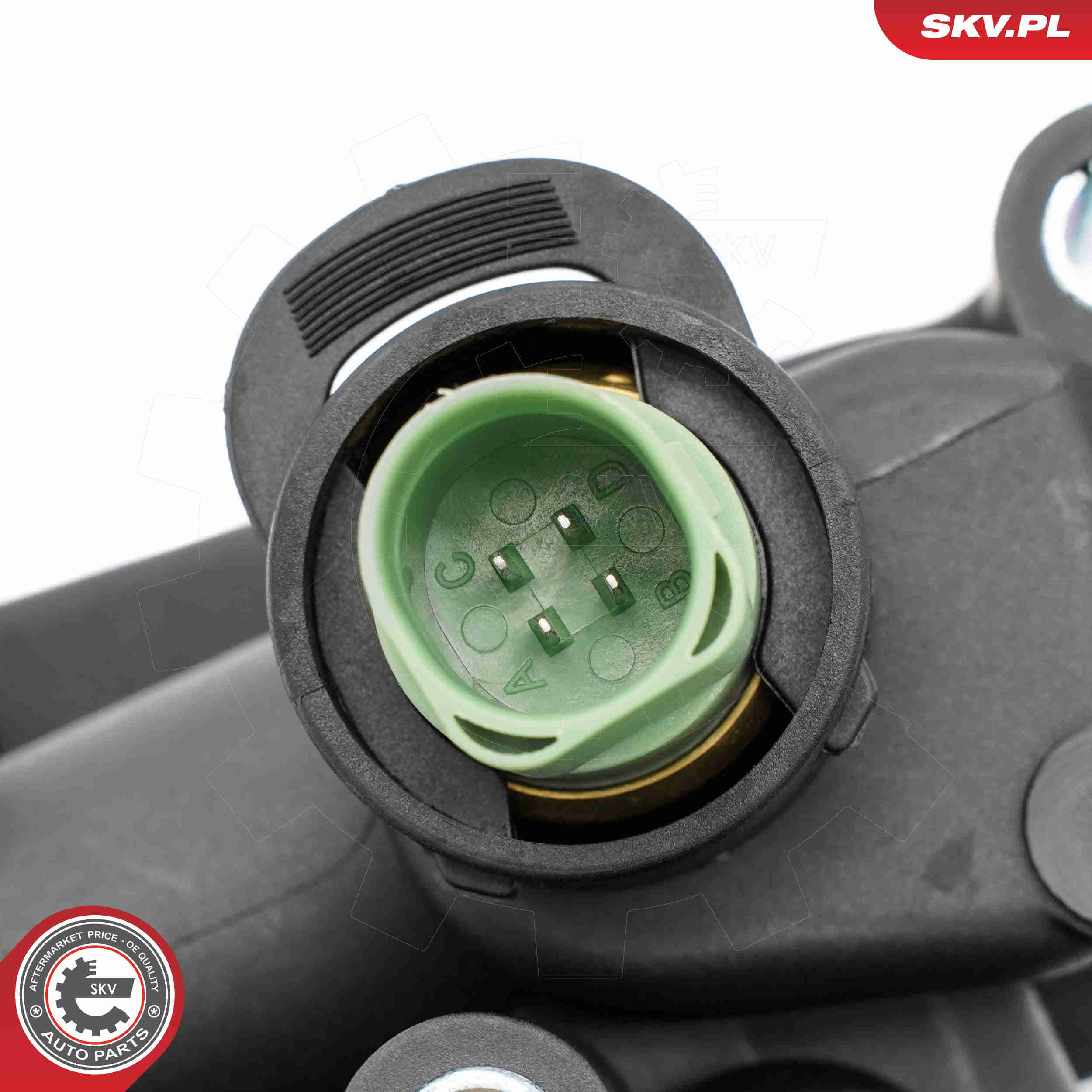 Thermostat, coolant - 20SKV220 ESEN SKV