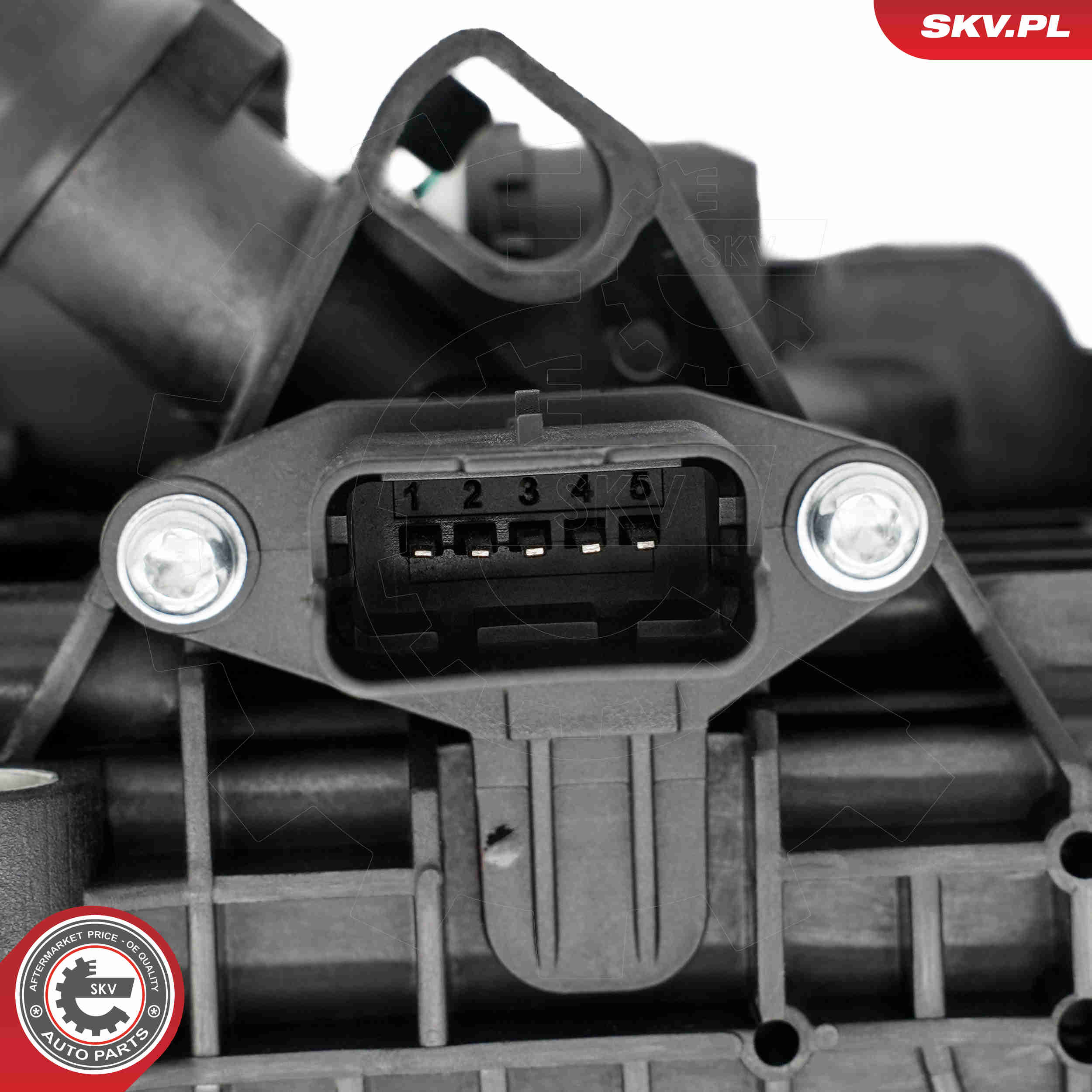 Thermostat, coolant - 20SKV223 ESEN SKV