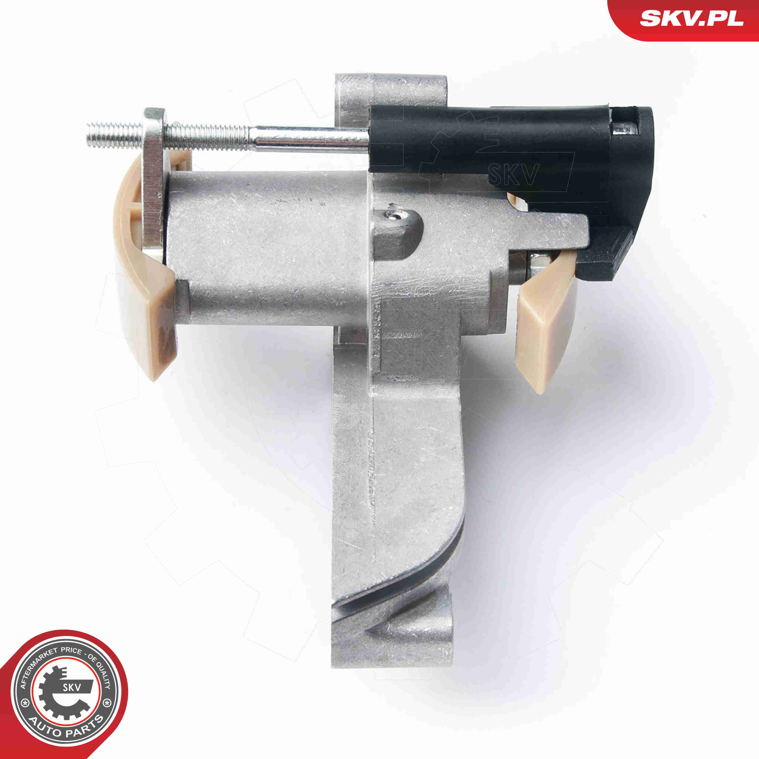 Timing Chain Kit - 21SKV010 ESEN SKV