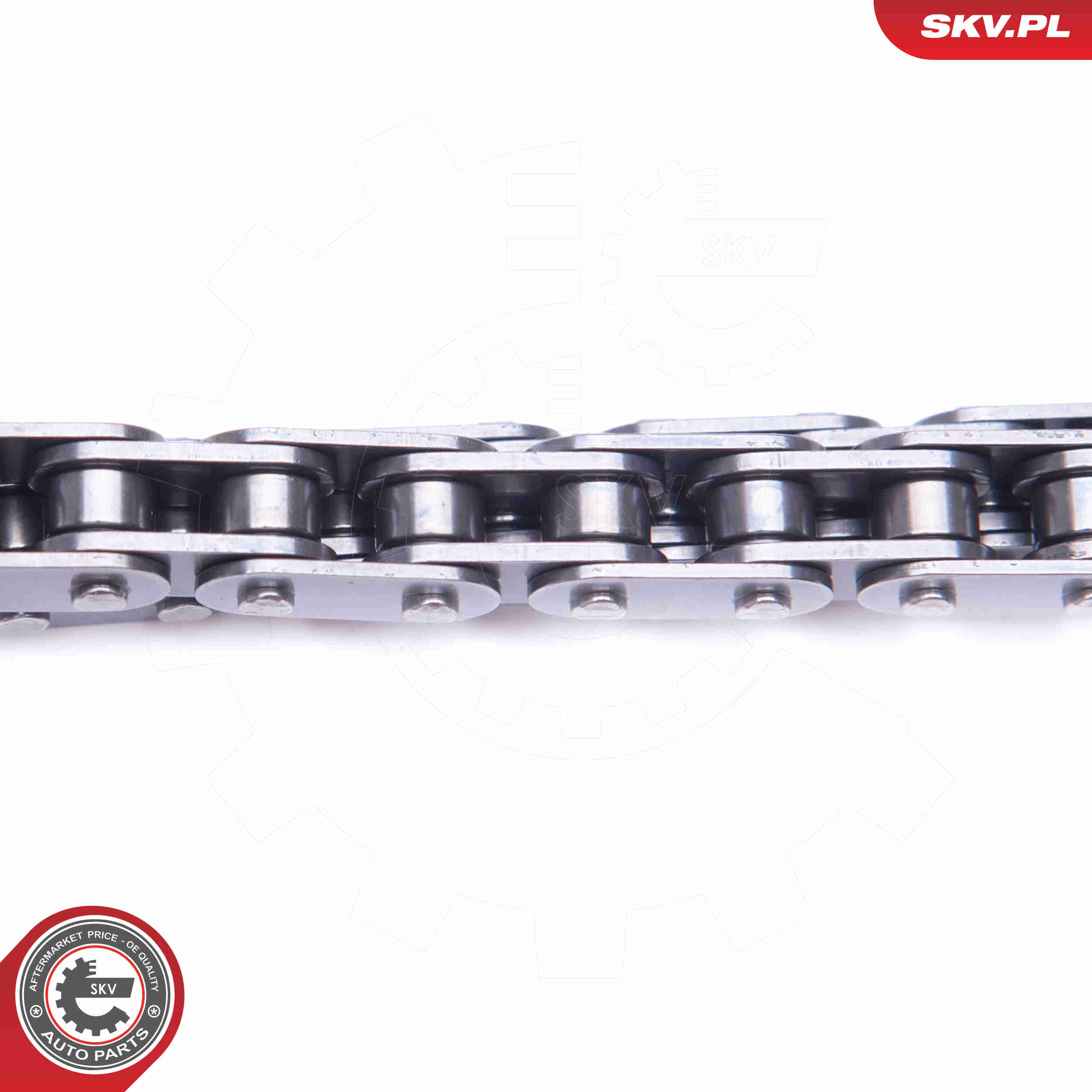 Chain Set, oil pump drive - 21SKV101 ESEN SKV