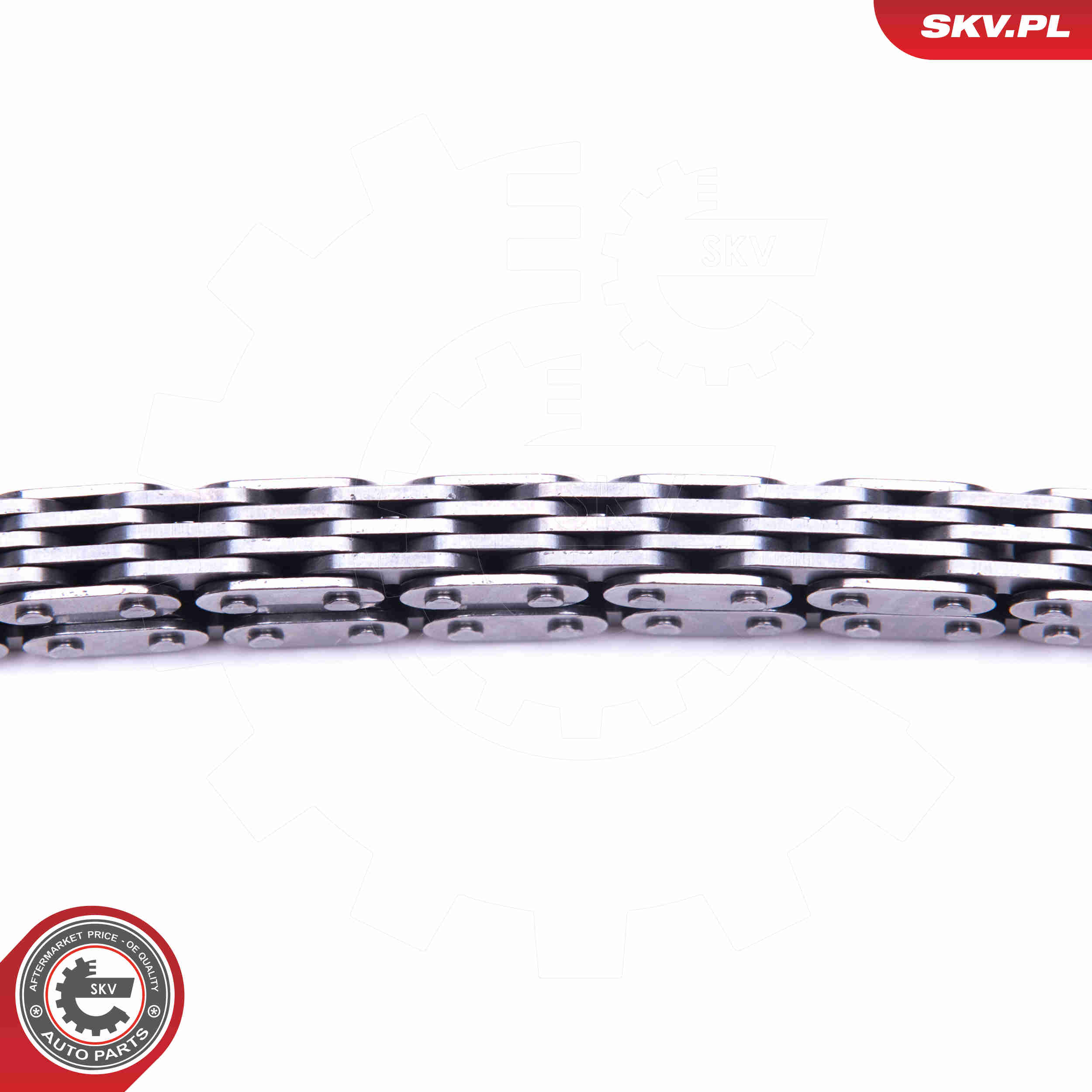 Chain Set, oil pump drive - 21SKV109 ESEN SKV