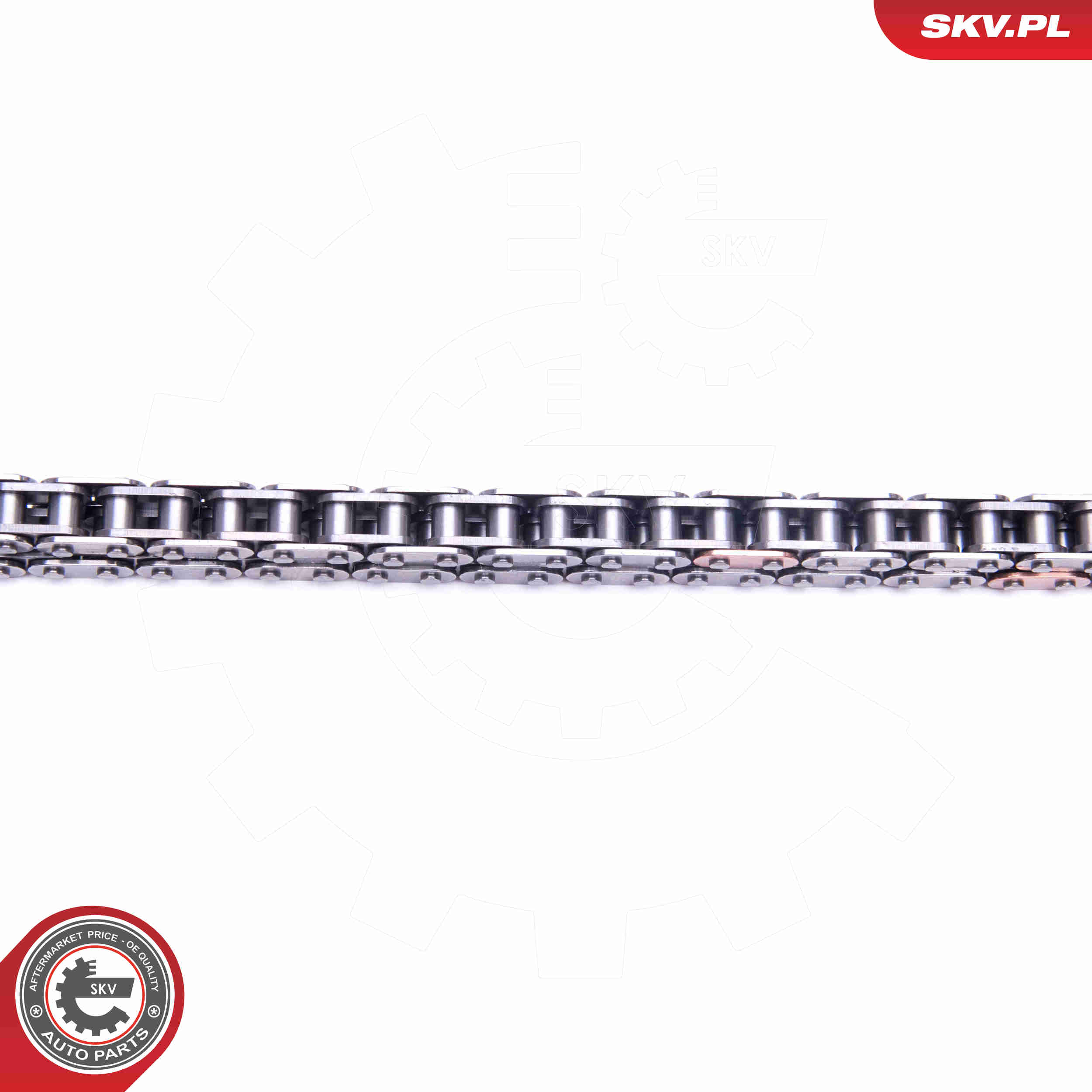 Timing Chain Kit - 21SKV113 ESEN SKV