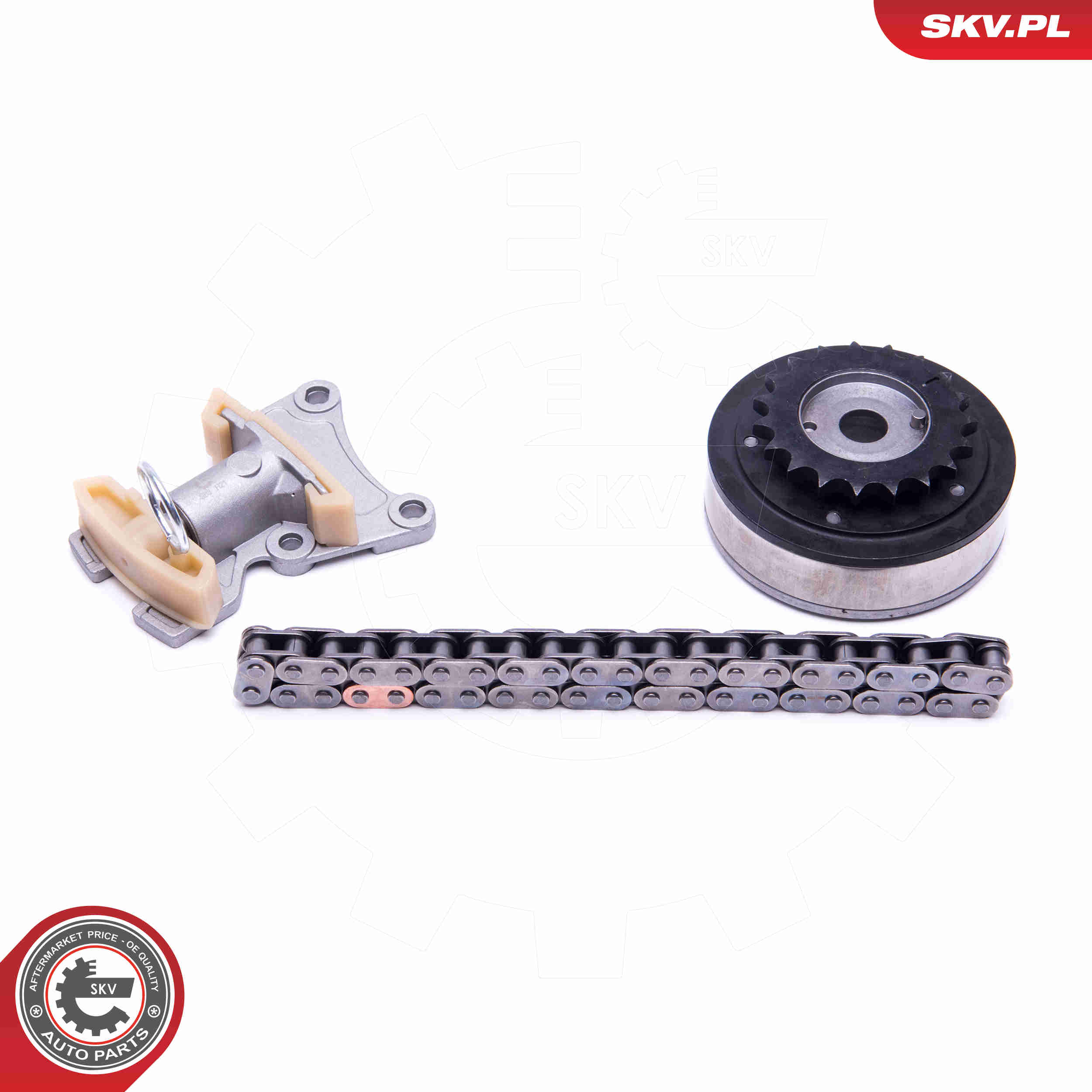 Timing Chain Kit - 21SKV115 ESEN SKV