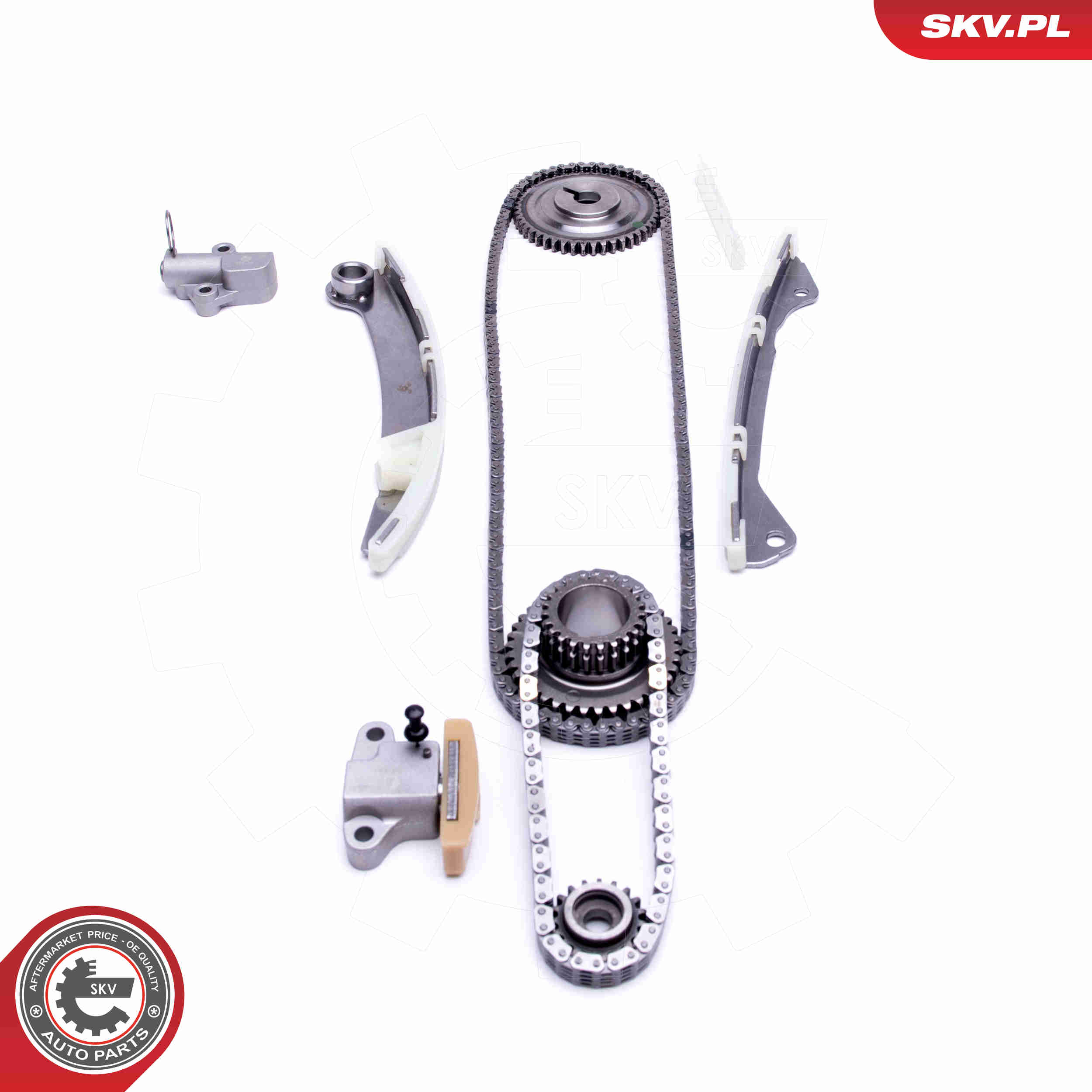 Timing Chain Kit - 21SKV125 ESEN SKV
